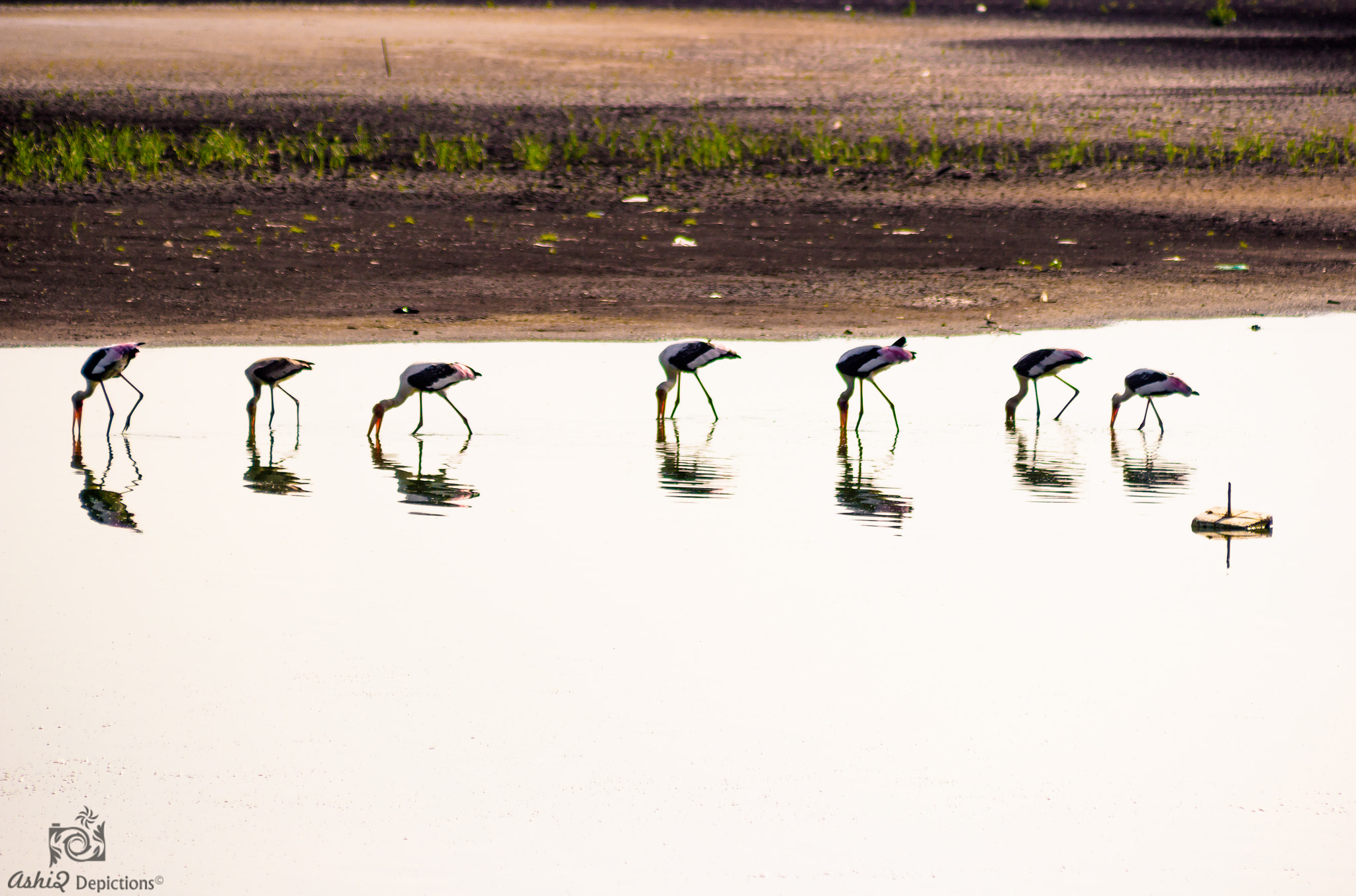 Canon EF 70-210mm f/3.5-4.5 USM sample photo. Uniformity photography