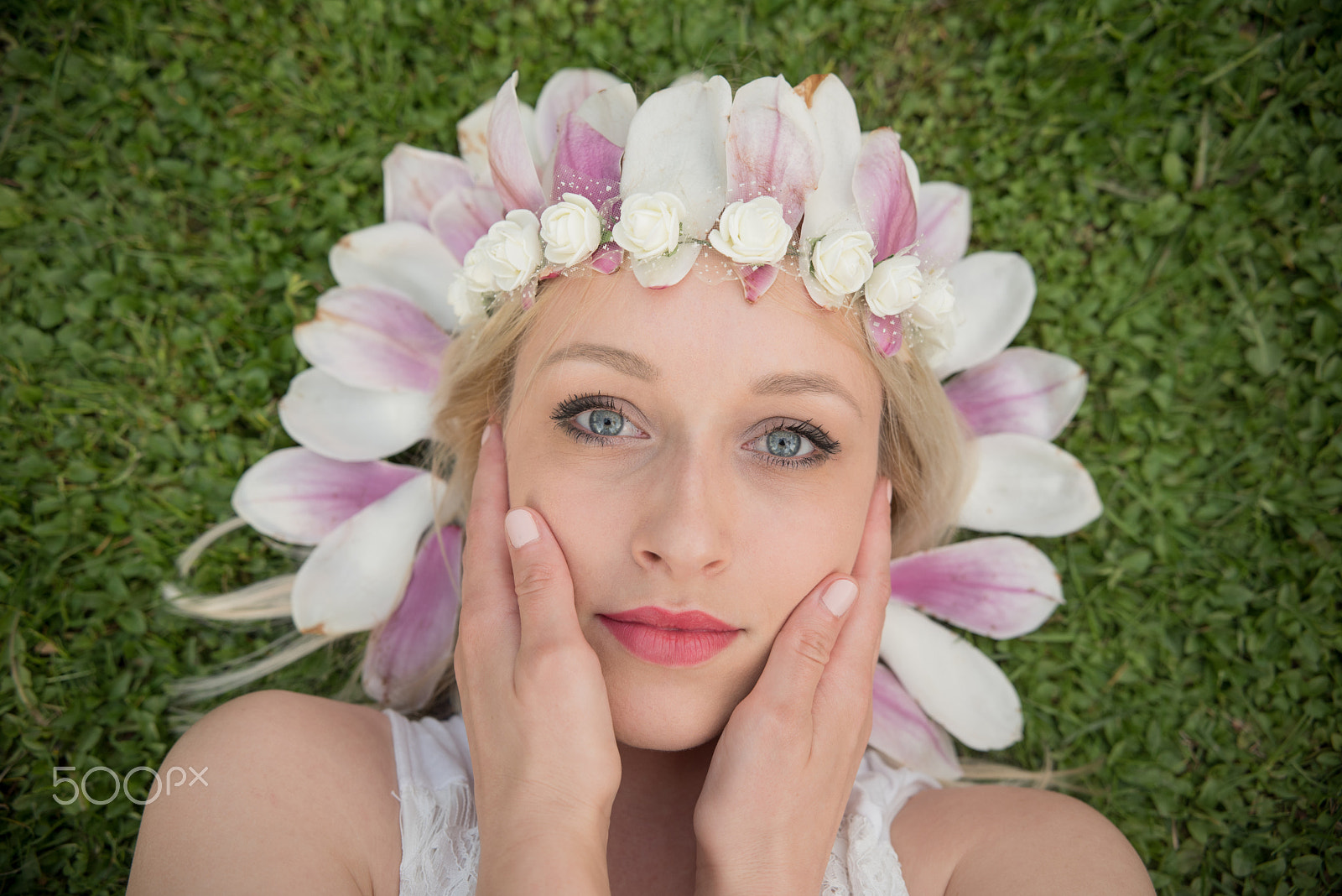 Nikon D750 + Sigma 18-35mm F1.8 DC HSM Art sample photo. Magnolia queen.jpg photography