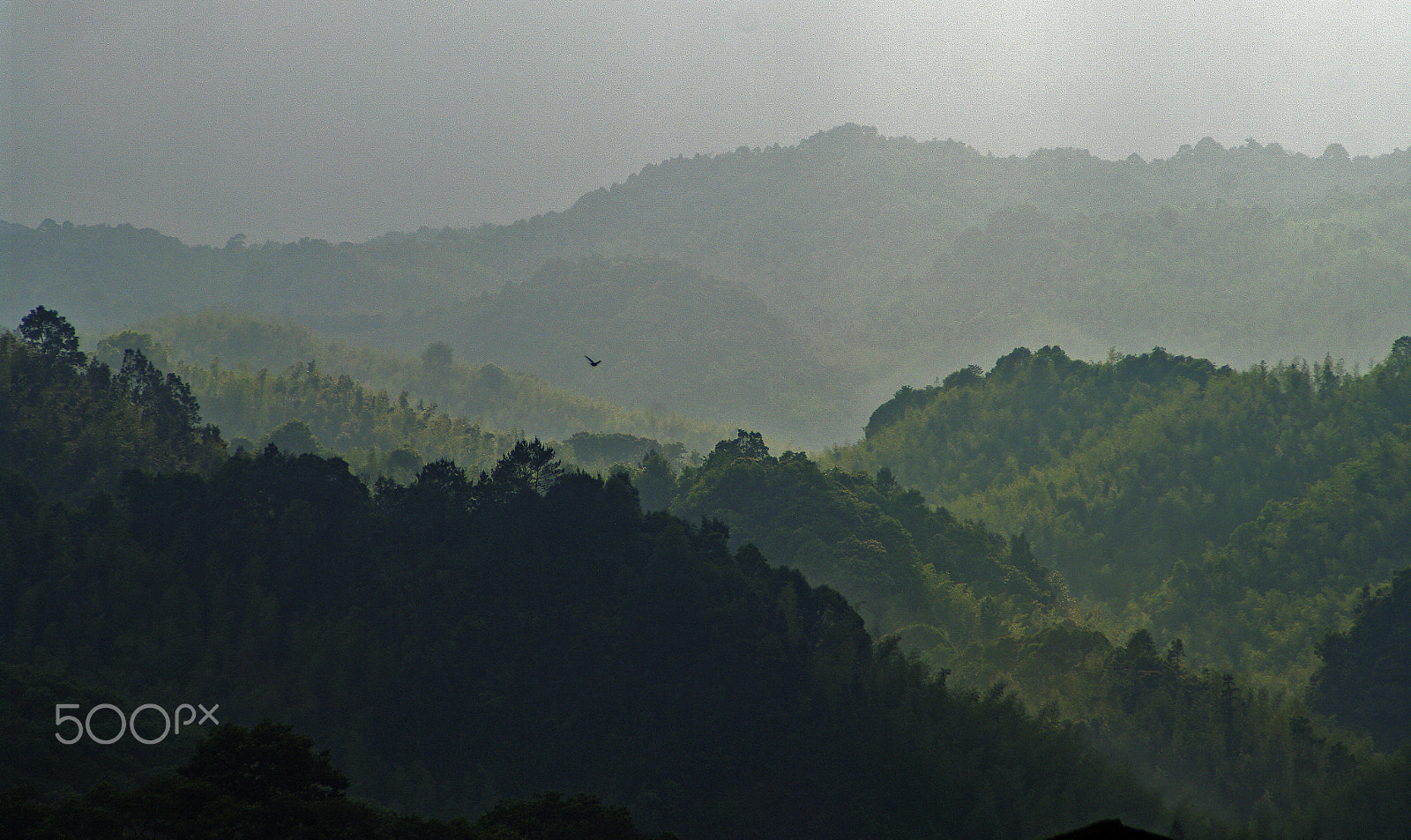 smc PENTAX-FA 28-200mm F3.8-5.6 AL[IF] sample photo. Fly away photography