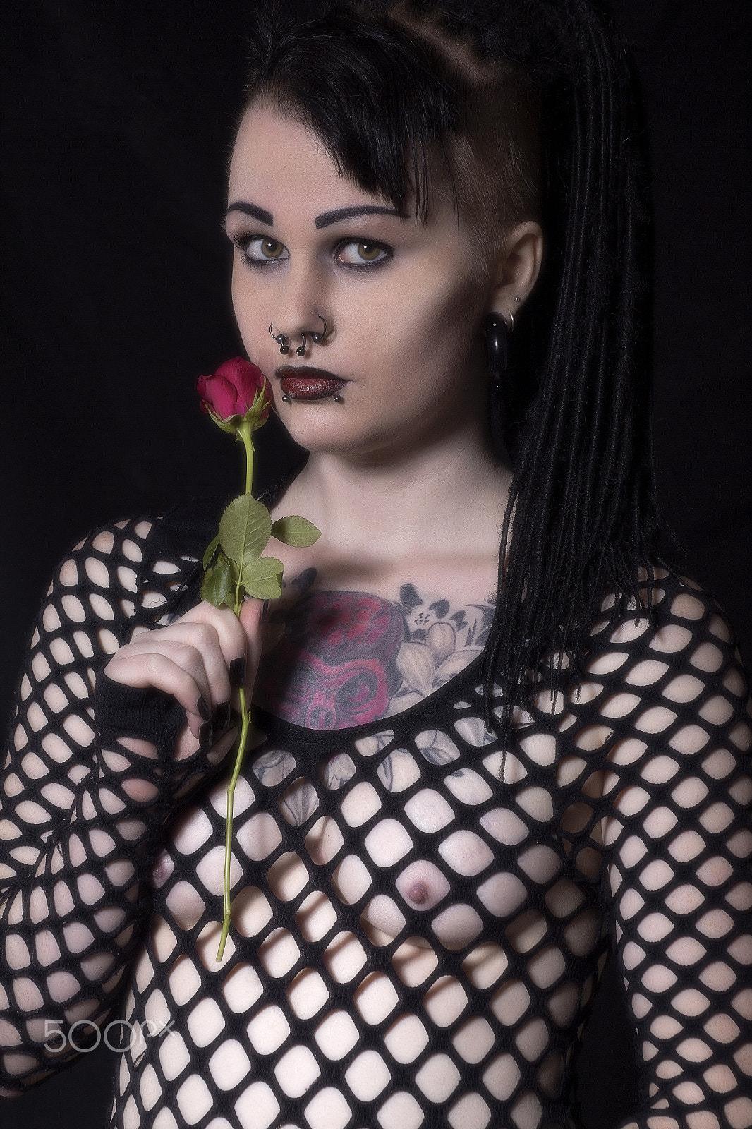 Sigma 50-200mm F4-5.6 DC OS HSM sample photo. Rose photography