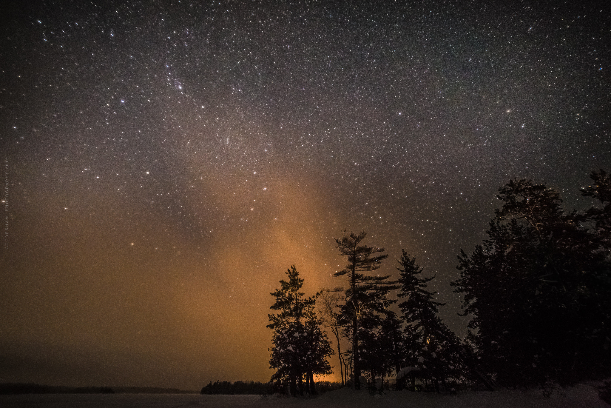 Nikon D800 + Sigma 14mm F2.8 EX Aspherical HSM sample photo. The trees photography