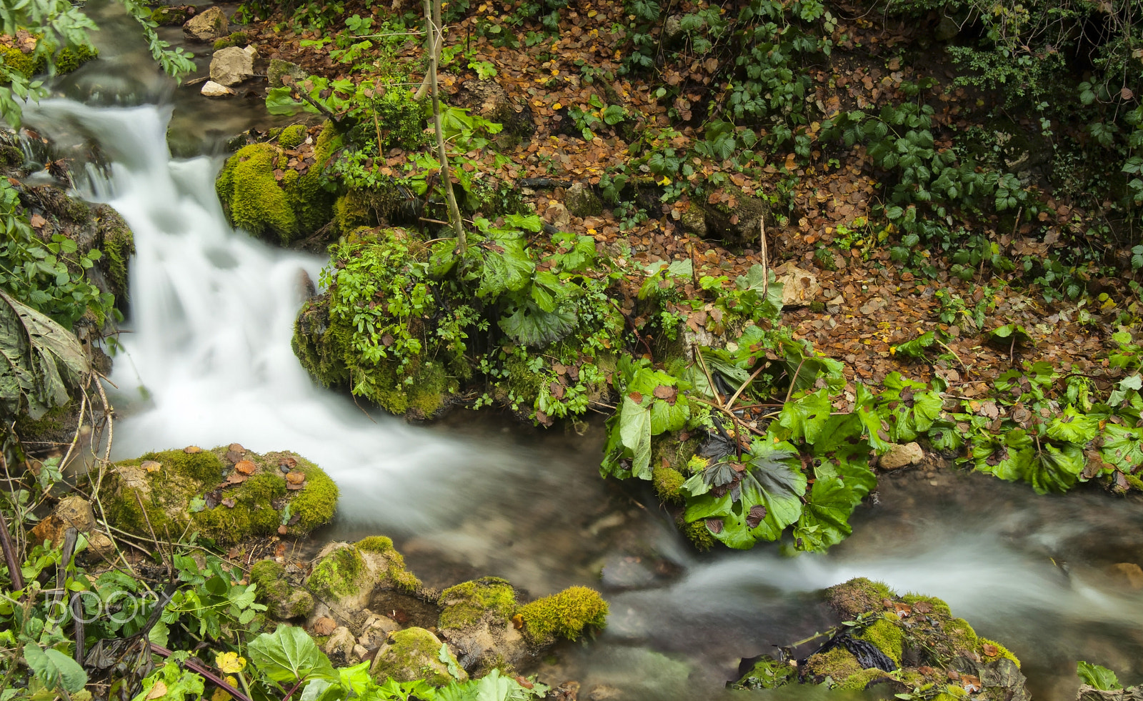 Nikon AF Nikkor 24-85mm F2.8-4D IF sample photo. Sülüklü göl deresi (leech lake stream) photography