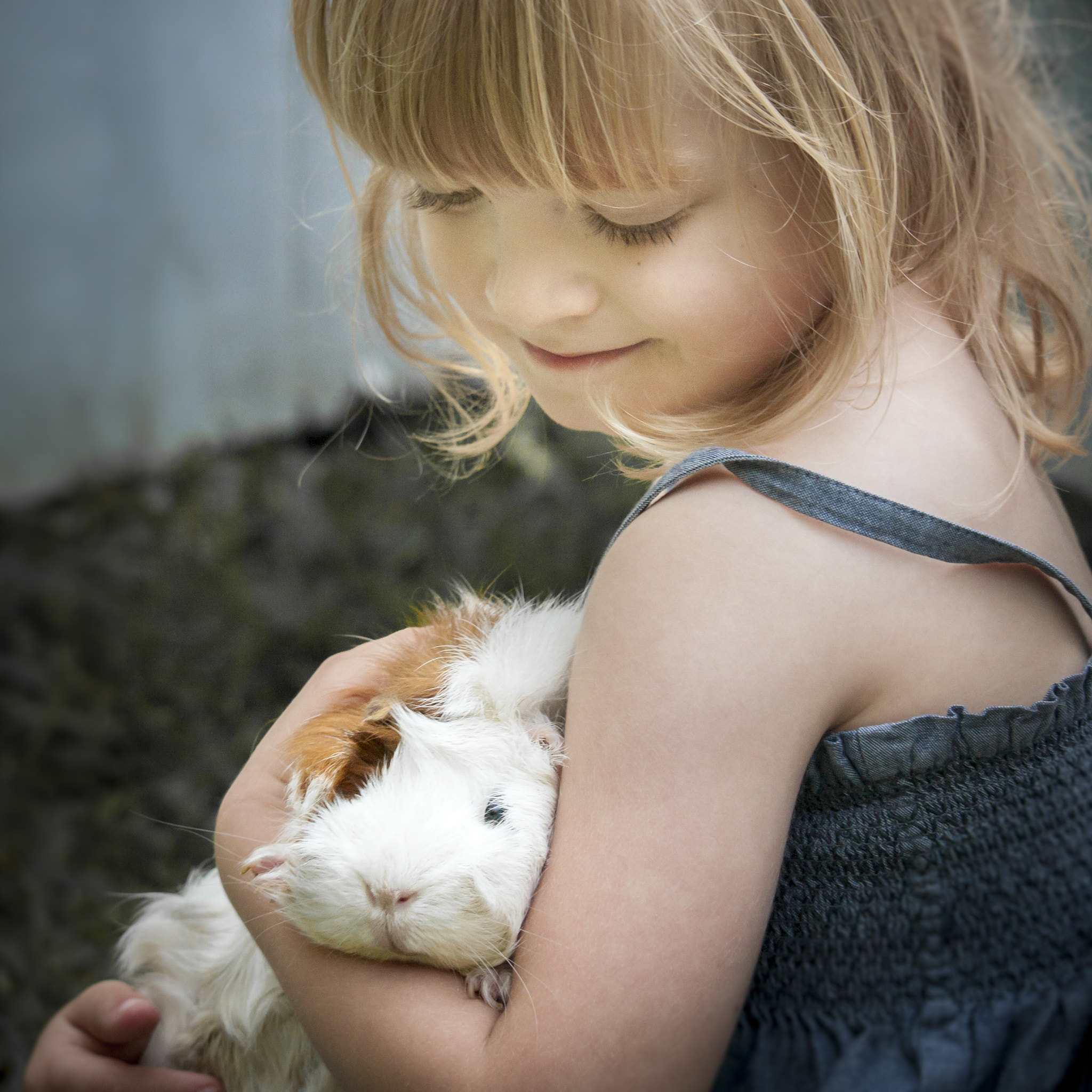 Canon EF-S 55-250mm F4-5.6 IS STM sample photo. My pet piggy photography