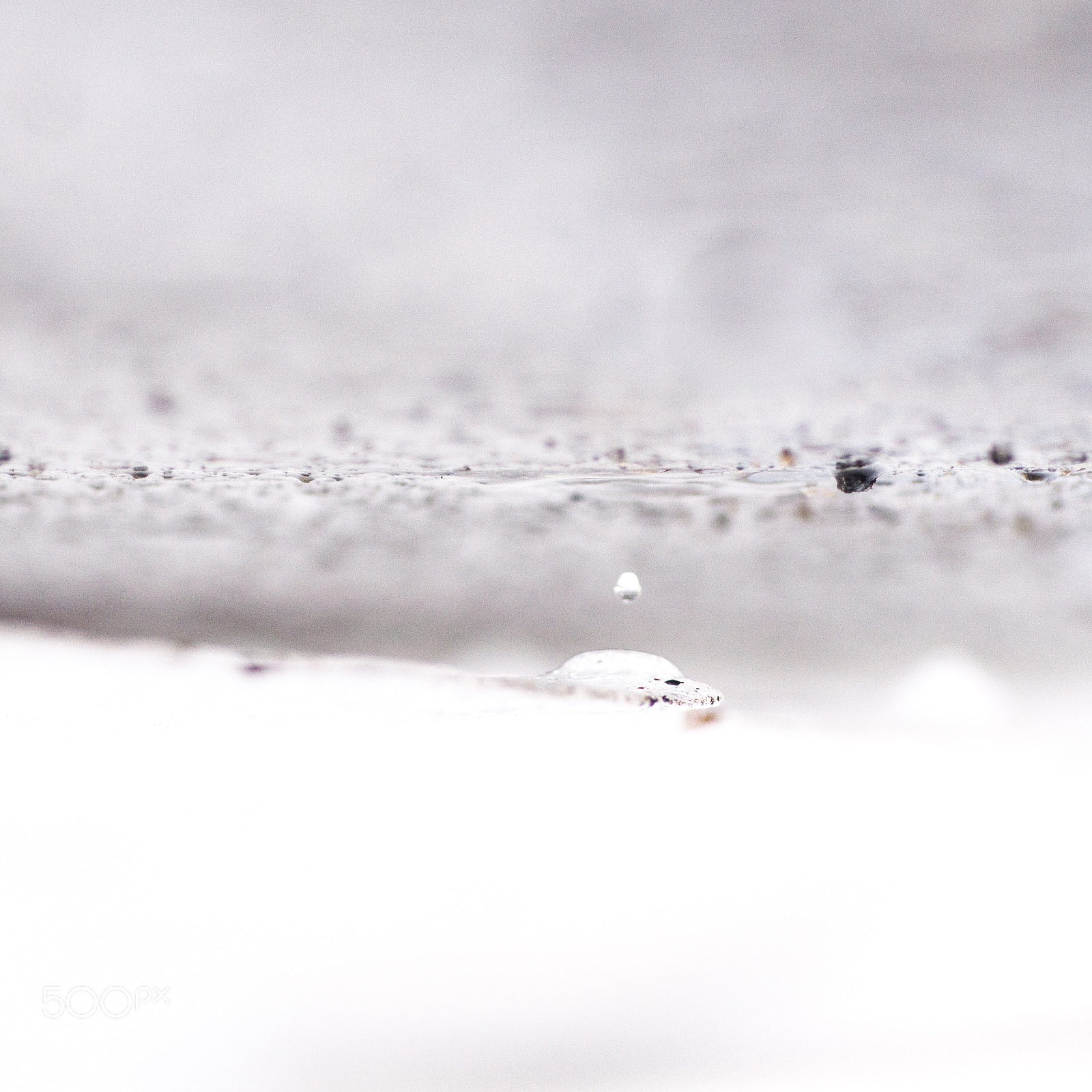 Sigma 70mm F2.8 EX DG Macro sample photo. White receptor photography