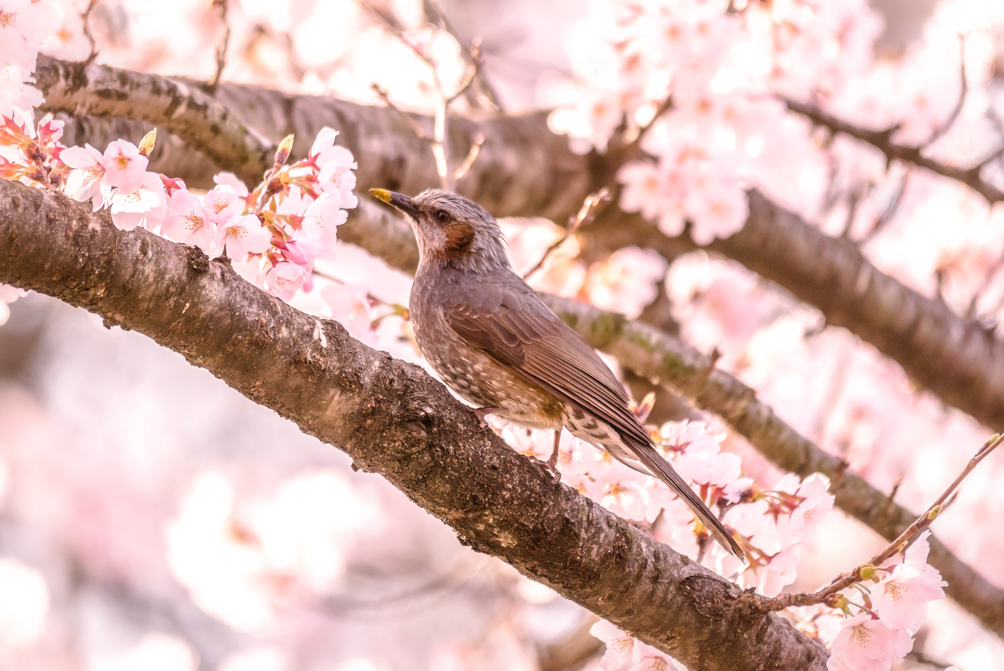 Sigma 150-500mm F5-6.3 DG OS HSM sample photo. Warmth photography