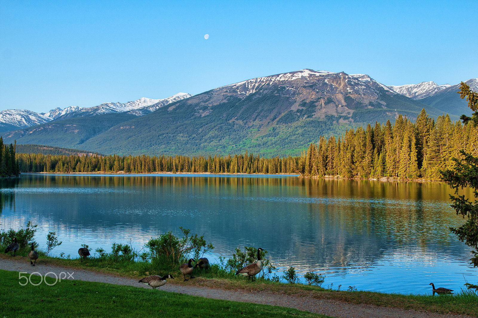 Sony Alpha DSLR-A700 + Sigma 17-70mm F2.8-4.5 (D) sample photo. Jasper, alberta, canada. photography