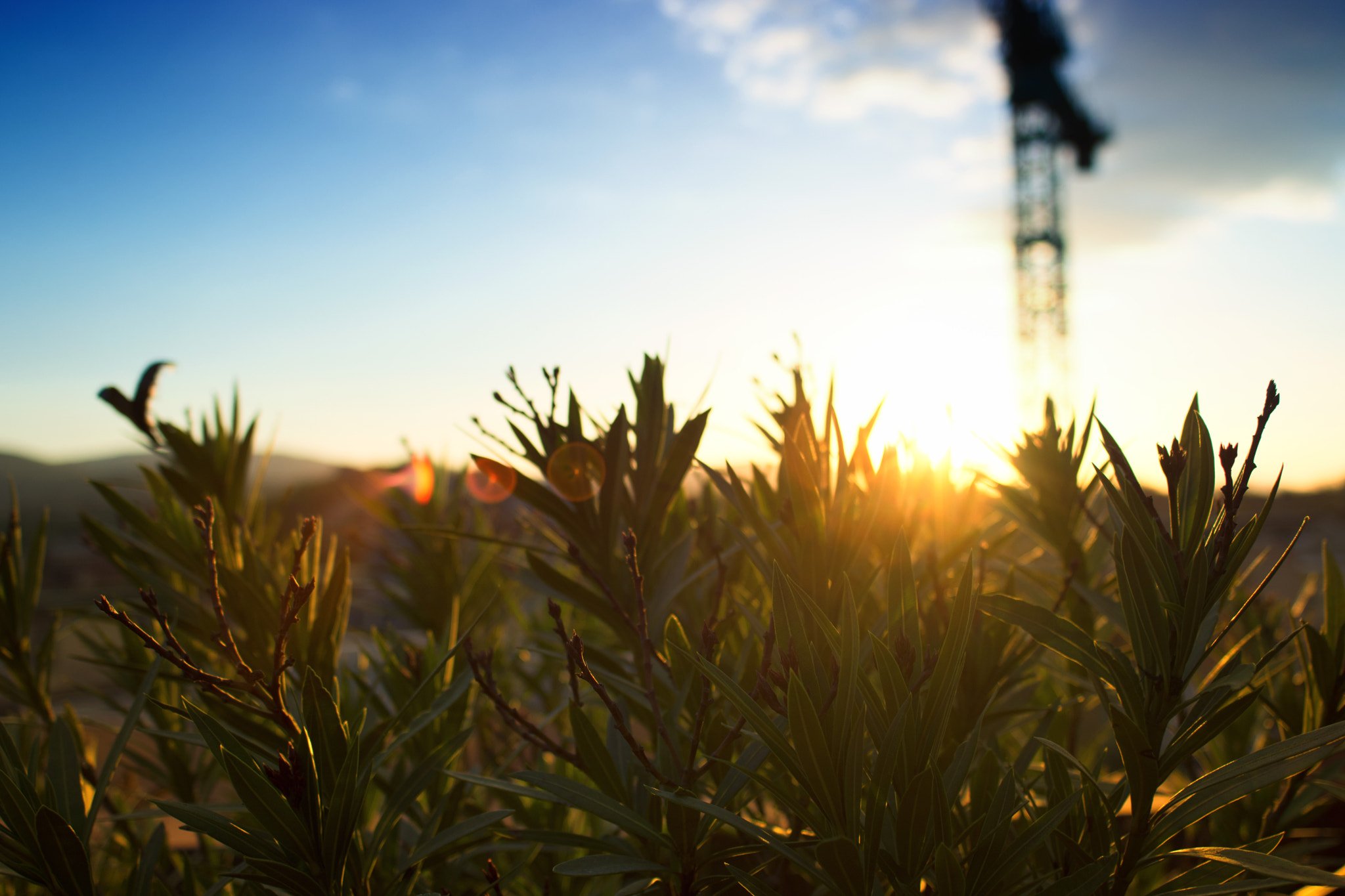 Nikon D7100 + Sigma 24mm F2.8 Super Wide II Macro sample photo. Ironhill sunset photography