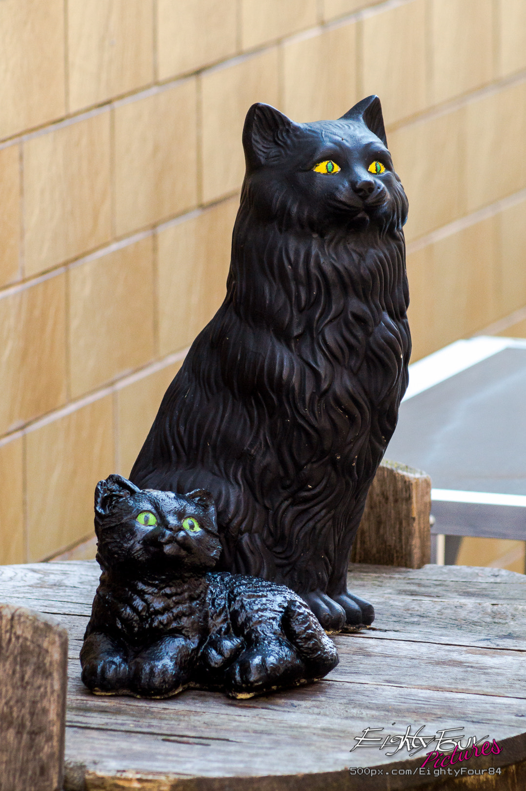 Sony 75-300mm F4.5-5.6 sample photo. Zeller schwarze katz photography