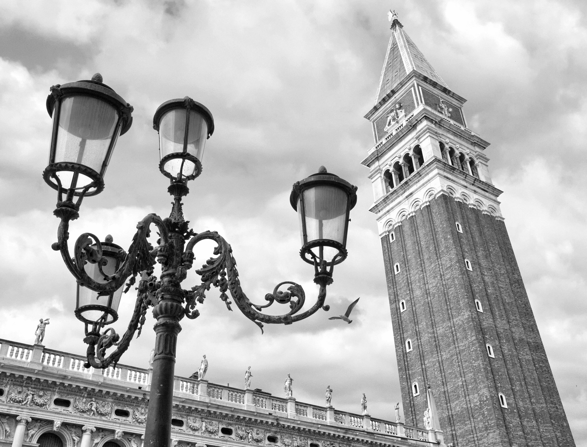 Sigma 10-20mm F3.5 EX DC HSM sample photo. The campanile, st mark's square photography