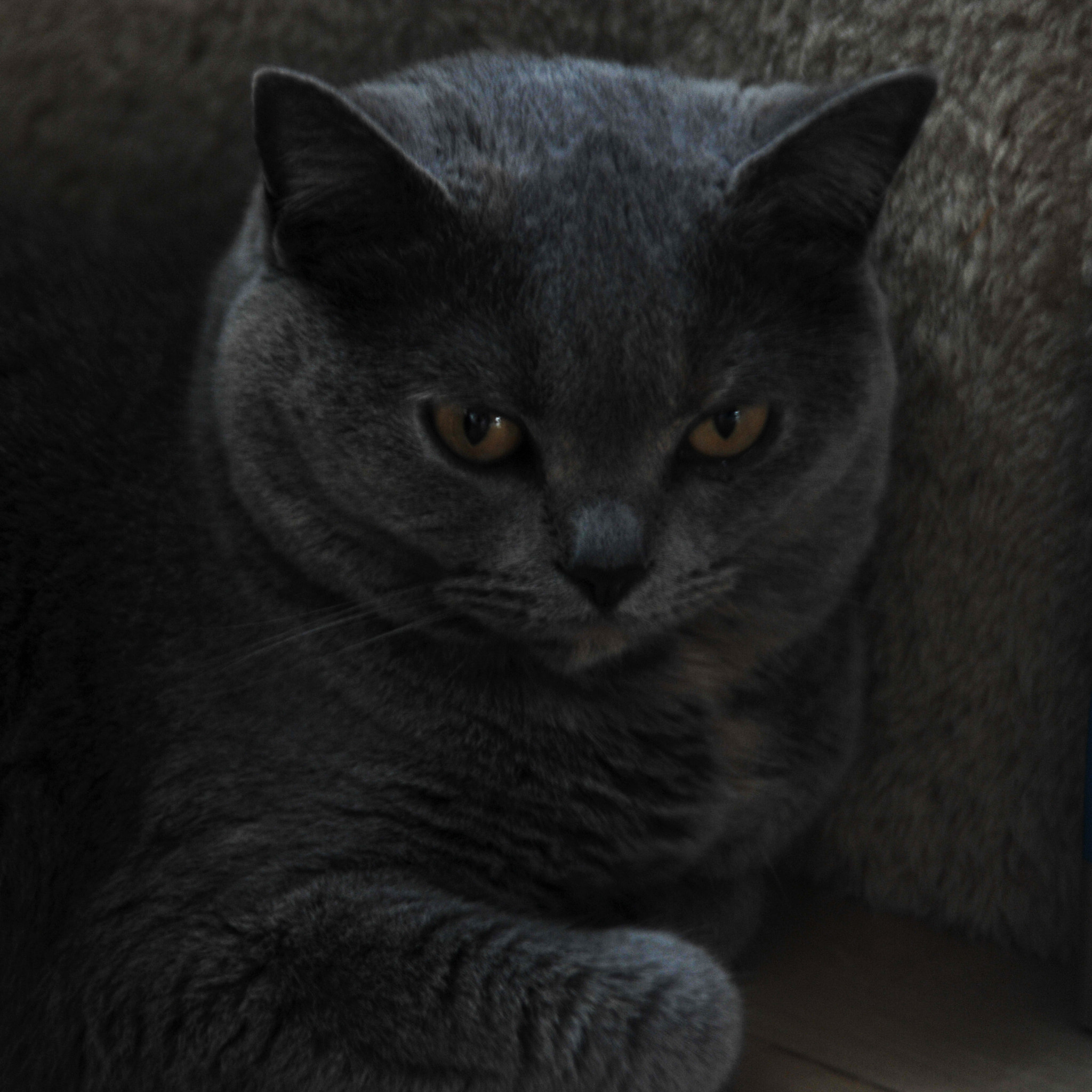 Nikon D3S sample photo. ...藍藍... photography