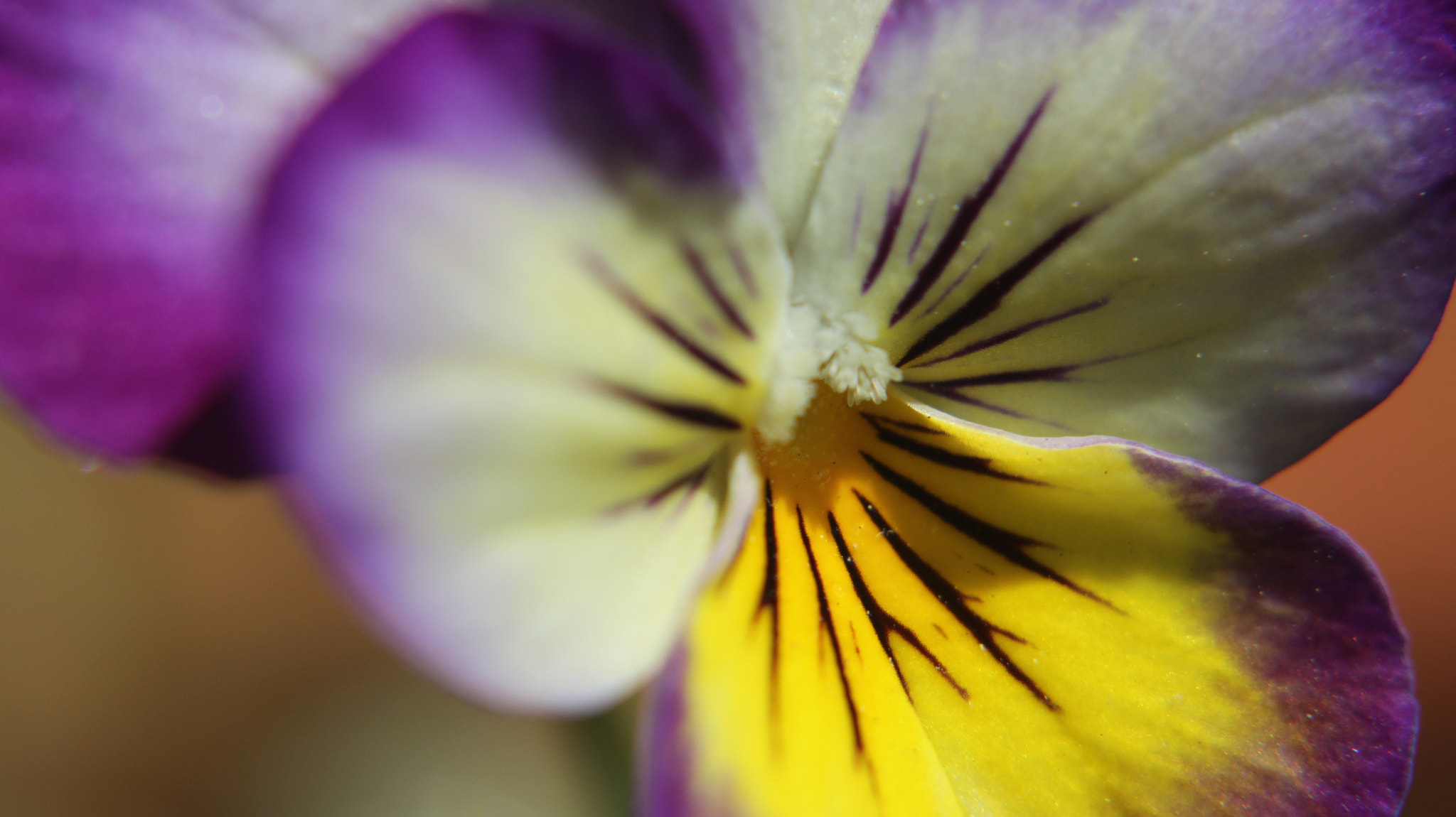 Canon EOS M sample photo