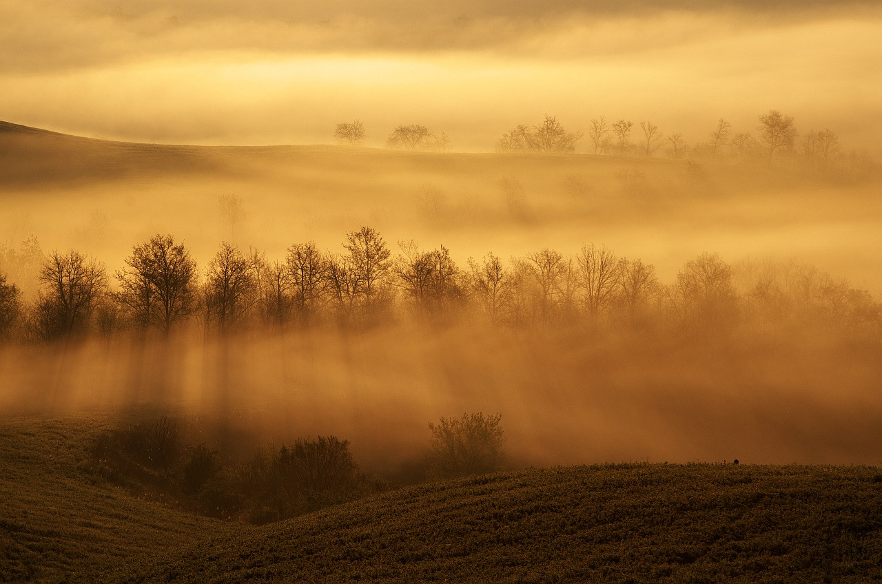 smc PENTAX-FA 28-105mm F3.2-4.5 AL[IF] sample photo. Sunrise in tuscany photography