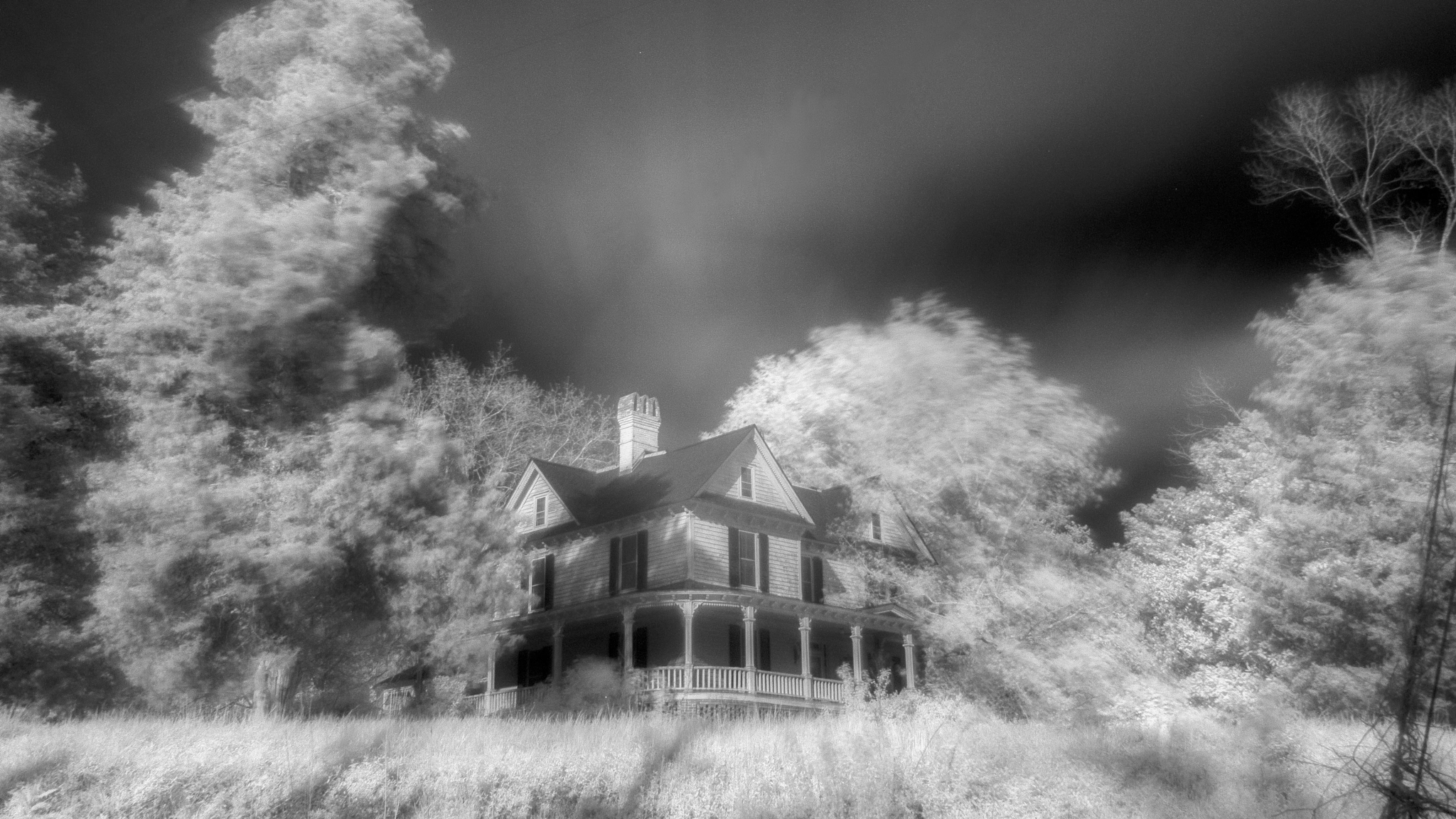 Canon EOS-1D Mark III sample photo. Cole's ridge (ir) photography