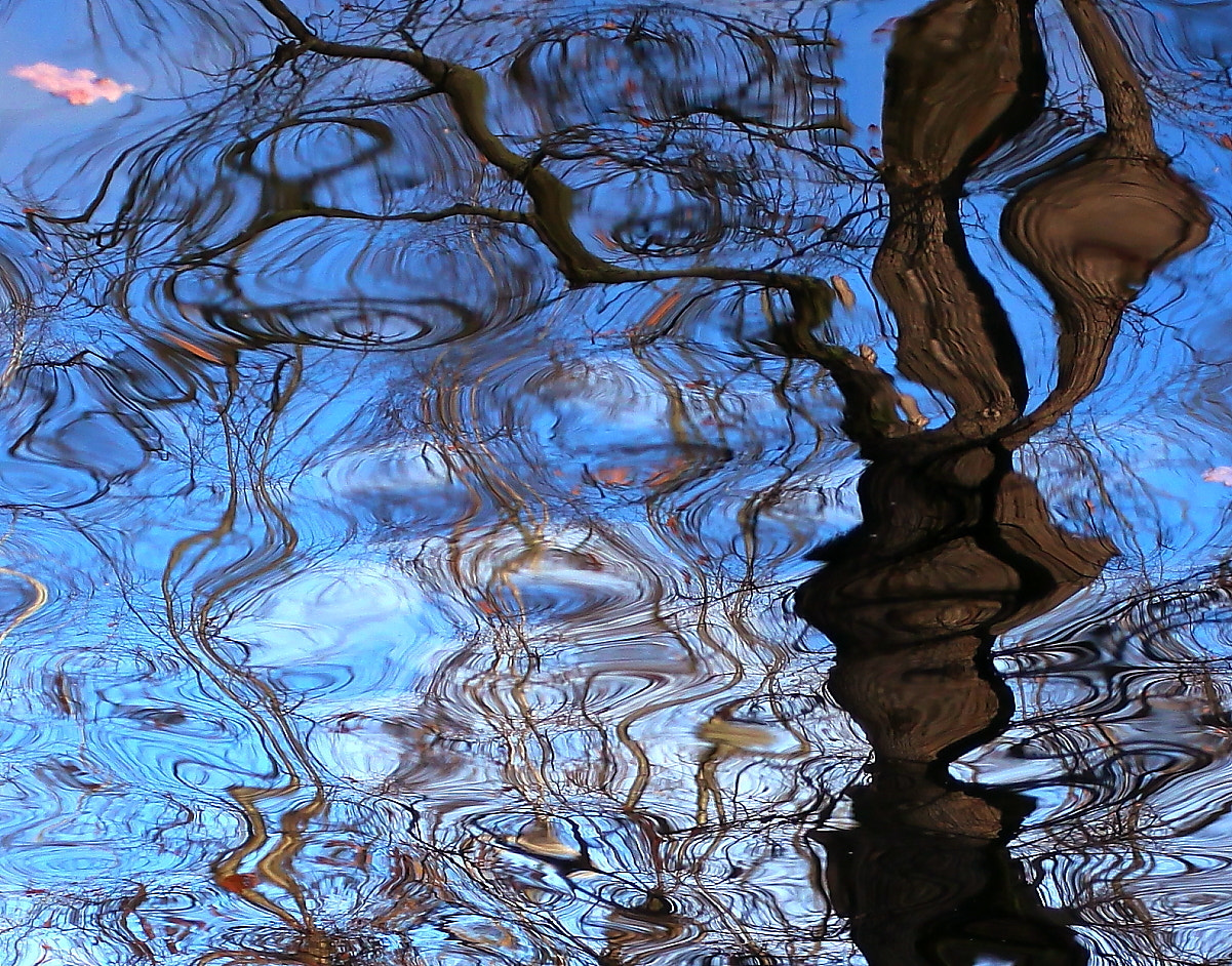 Canon EF 17-40mm F4L USM sample photo. Aquatic impressionism № 826 photography