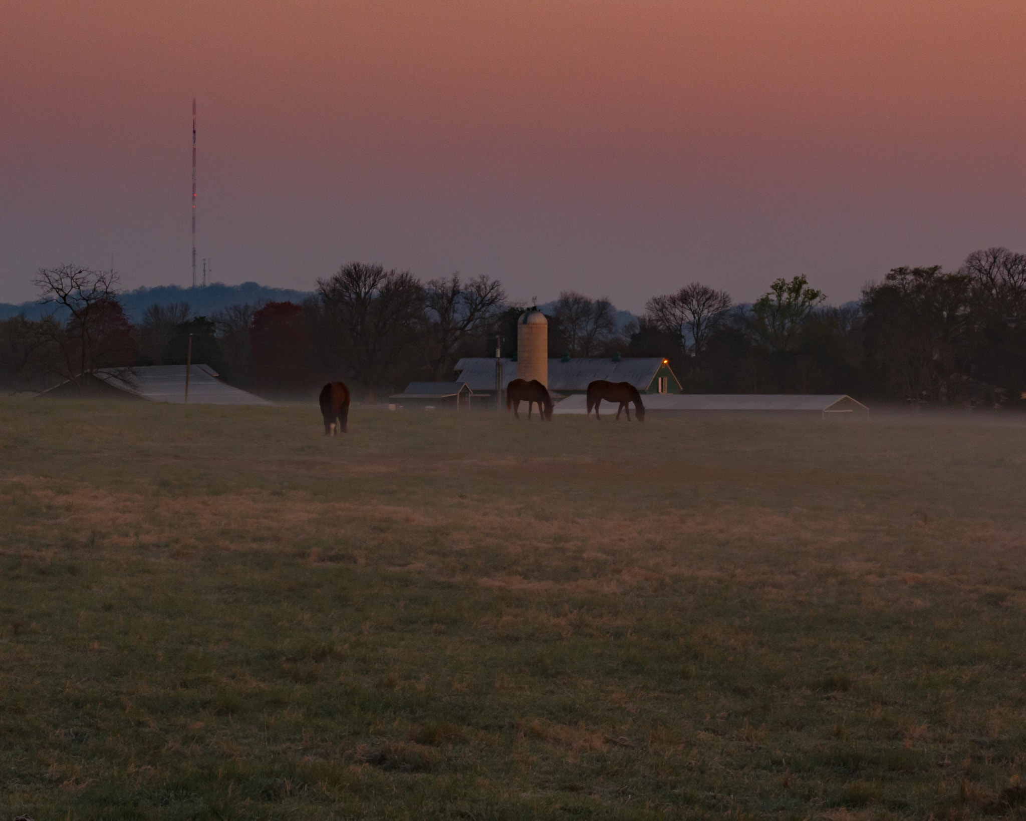 Canon EOS 650D (EOS Rebel T4i / EOS Kiss X6i) + Canon EF 50mm F1.4 USM sample photo. The morning shift photography