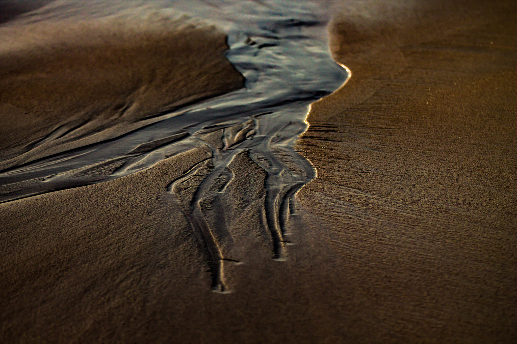 Tamron SP 35mm F1.8 Di VC USD sample photo. Marks in the sand photography