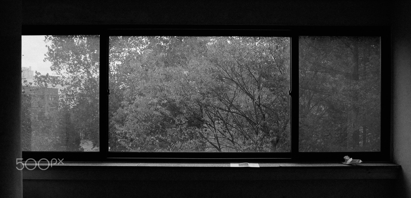 AF-S Nikkor 35mm f/1.8G sample photo. Past window photography