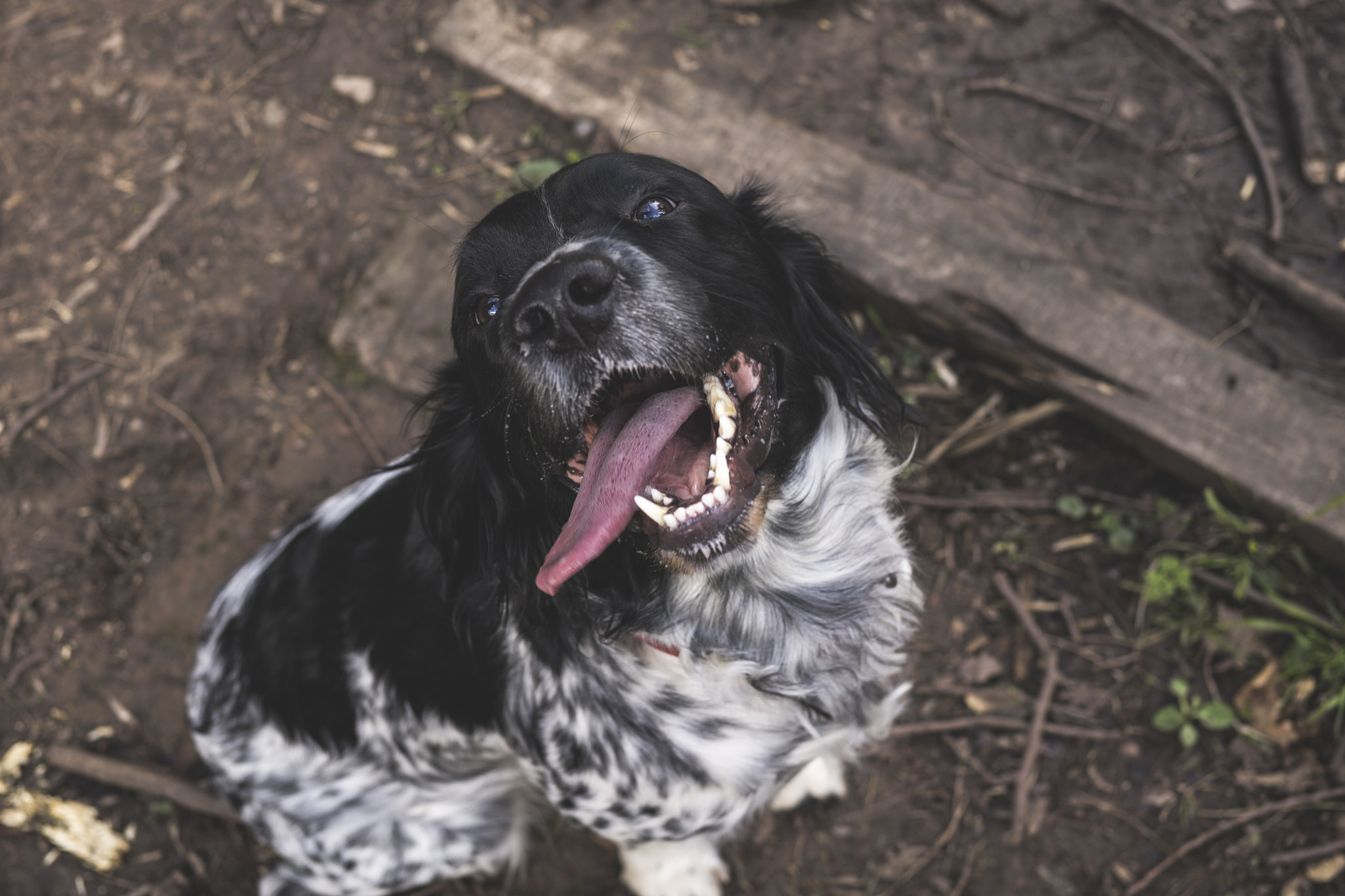 E 32mm F1.8 sample photo. Infinite // happy photography