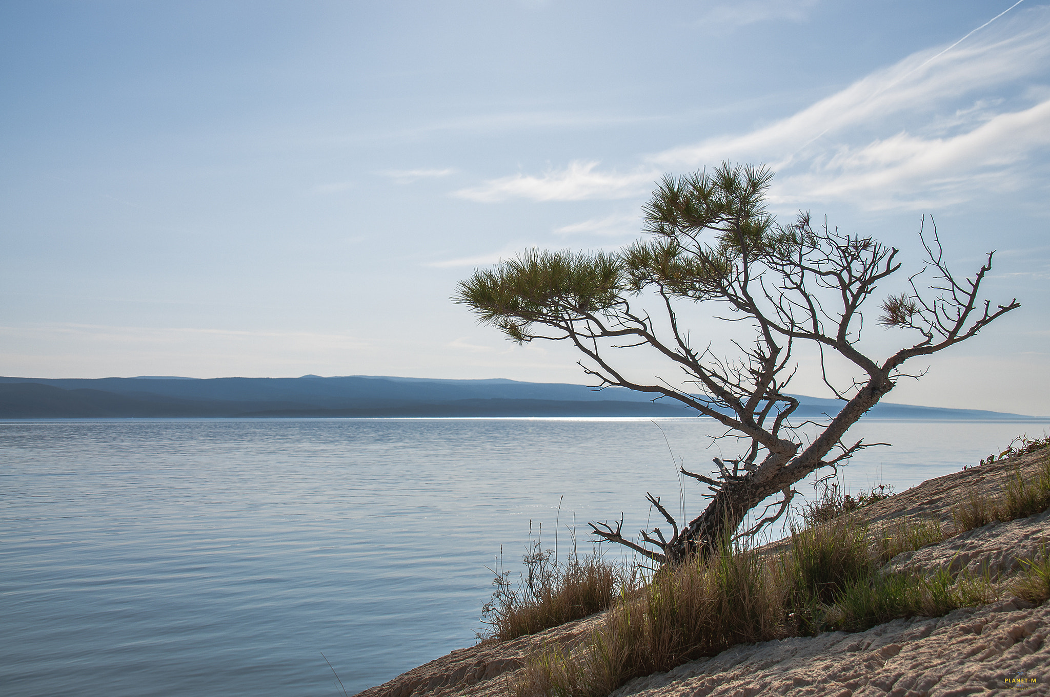 Nikon D300S sample photo. Law of nature photography