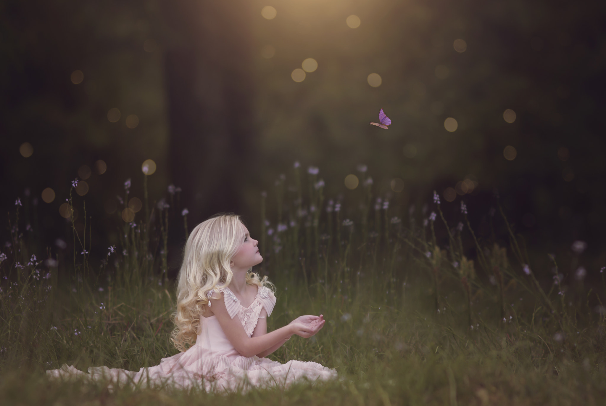Canon EOS 70D + Canon EF 200mm F2.8L II USM sample photo. Princess of the forest photography