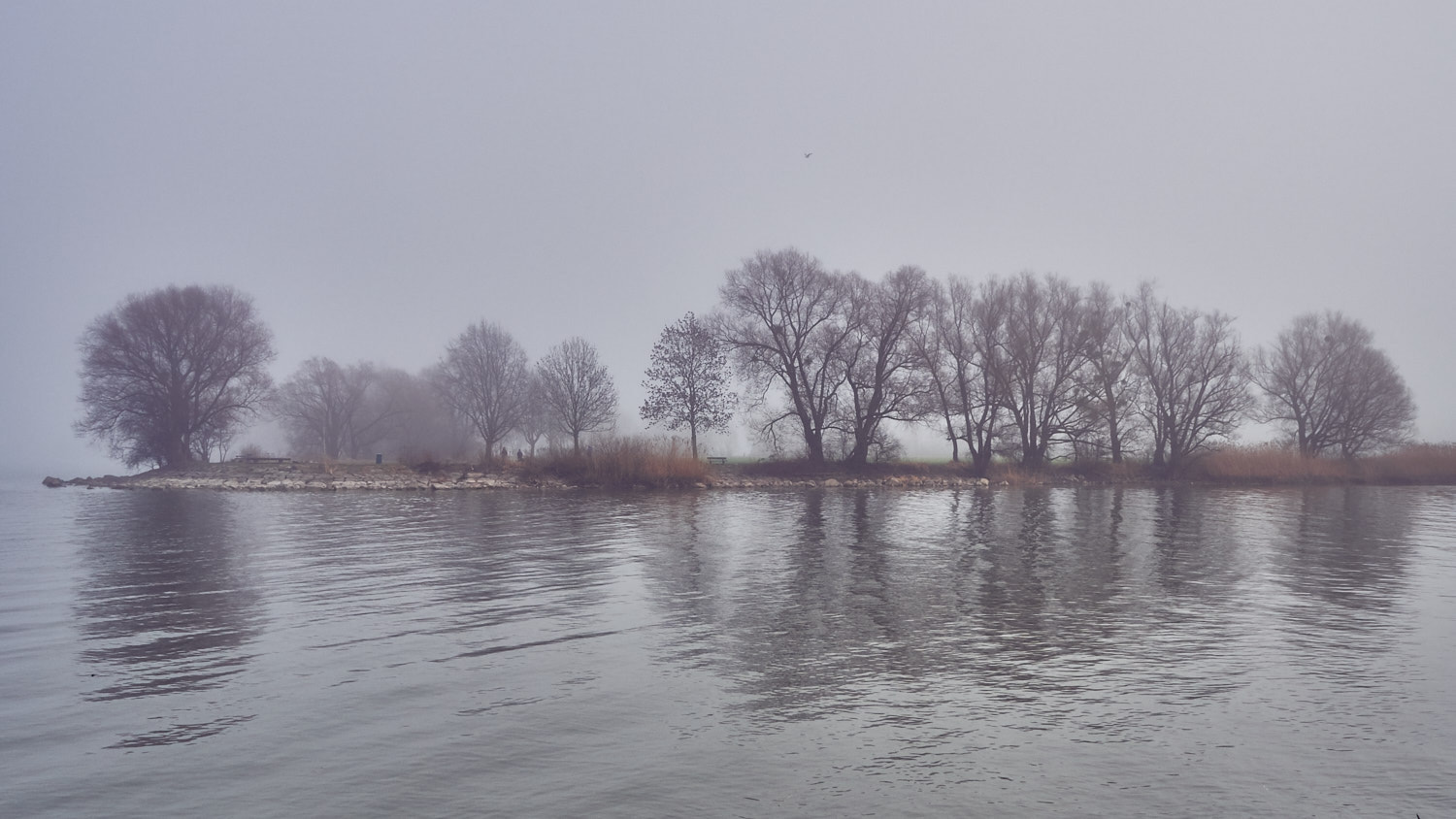Olympus PEN E-PL7 + OLYMPUS M.9-18mm F4.0-5.6 sample photo. Nebel am schleienloch photography