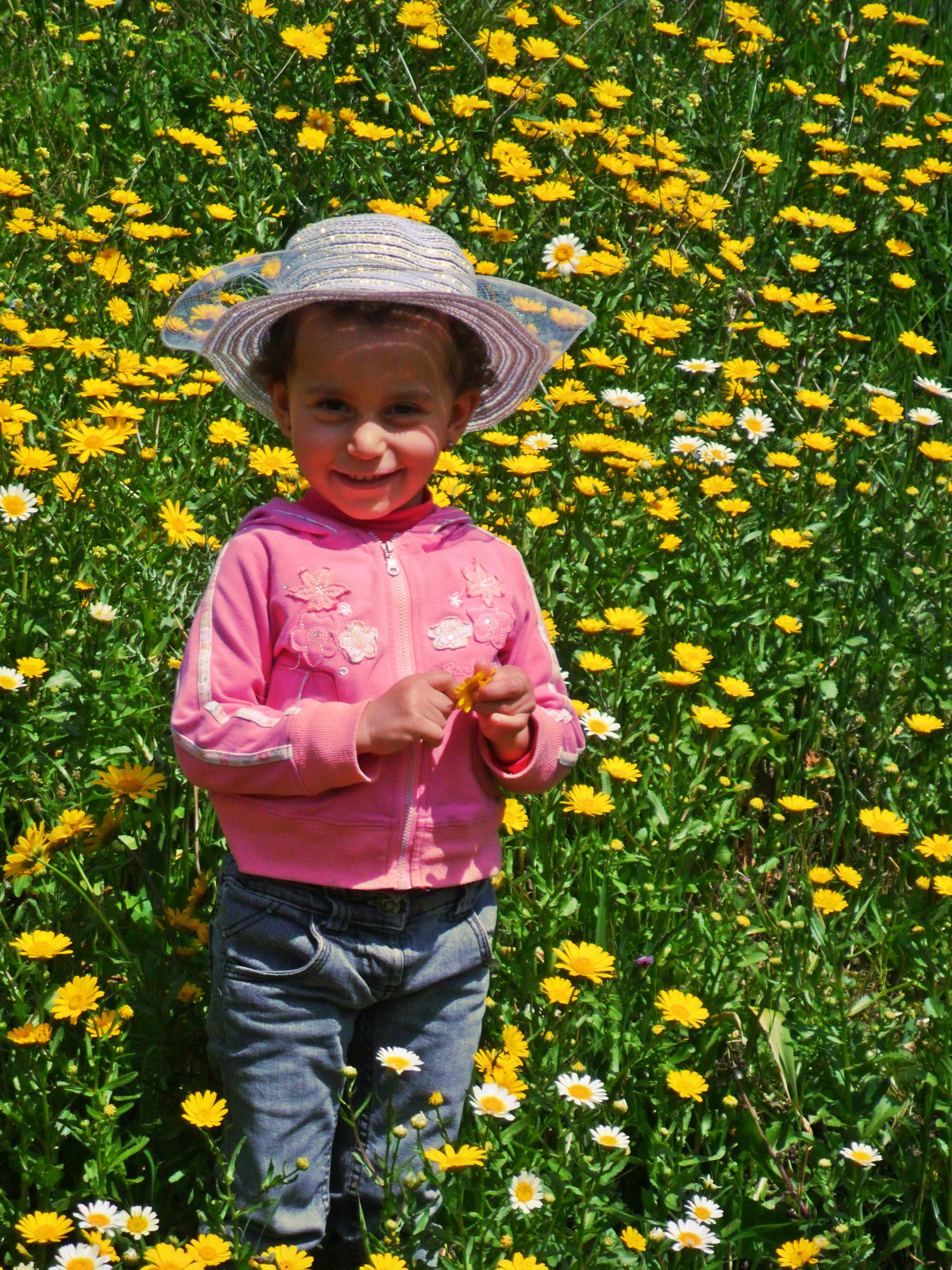Samsung PL20,PL21 / VLUU PL20,PL21 sample photo. Spring errand photography