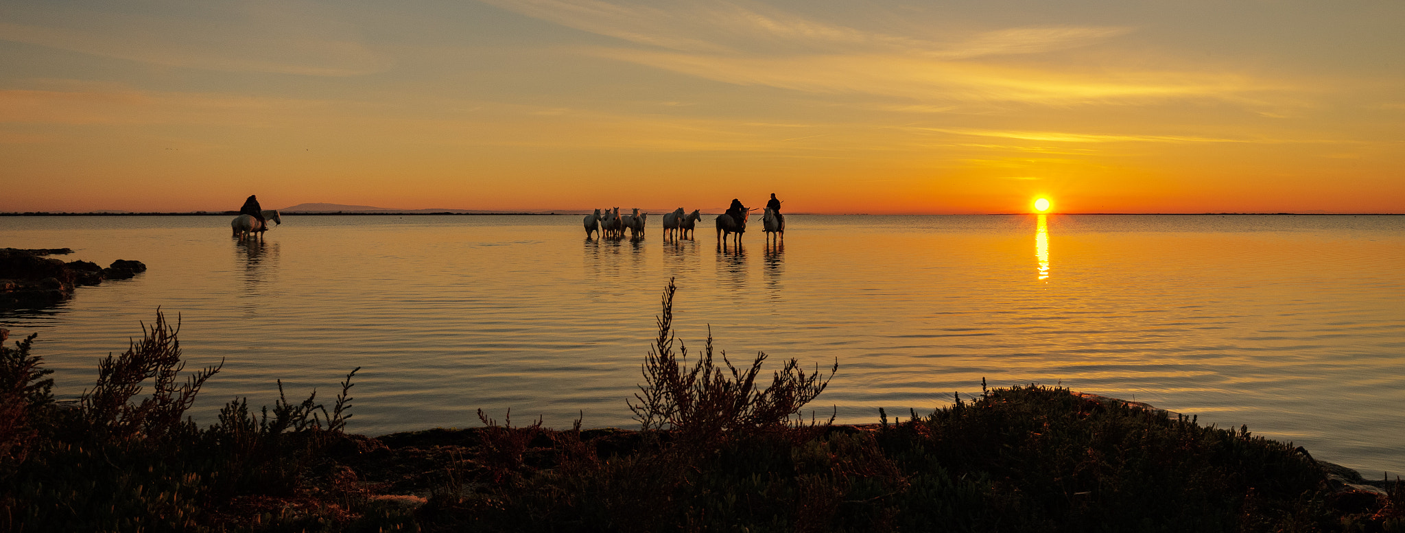 Canon EOS-1D X + Canon EF 16-35mm F4L IS USM sample photo. Watching the sunrise.... photography