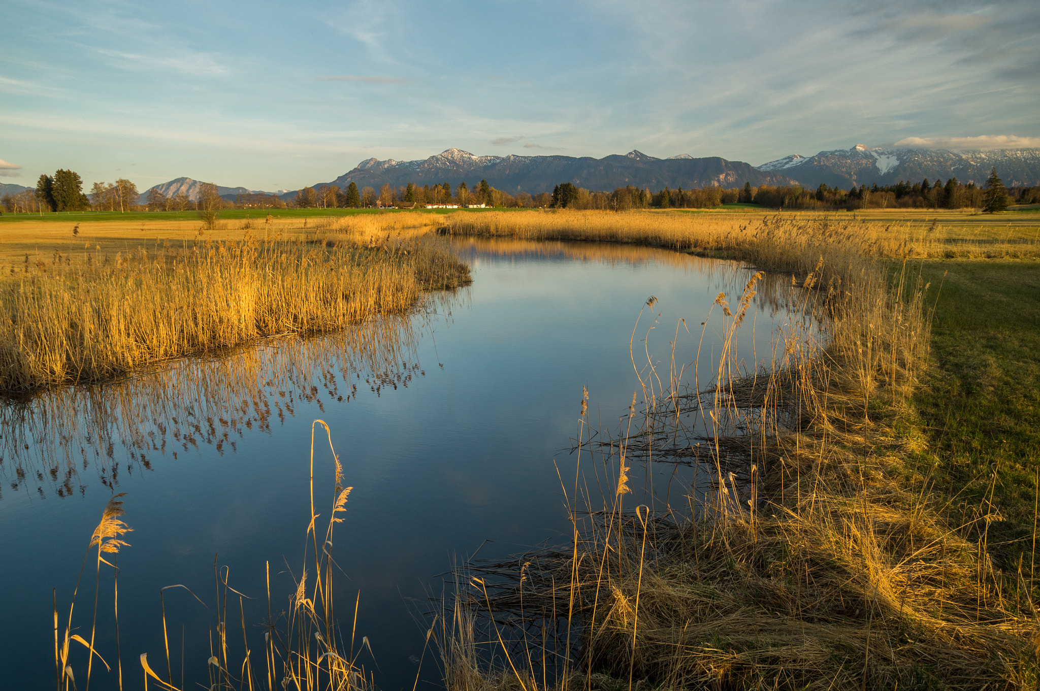 Sony SLT-A57 sample photo. Golden light photography
