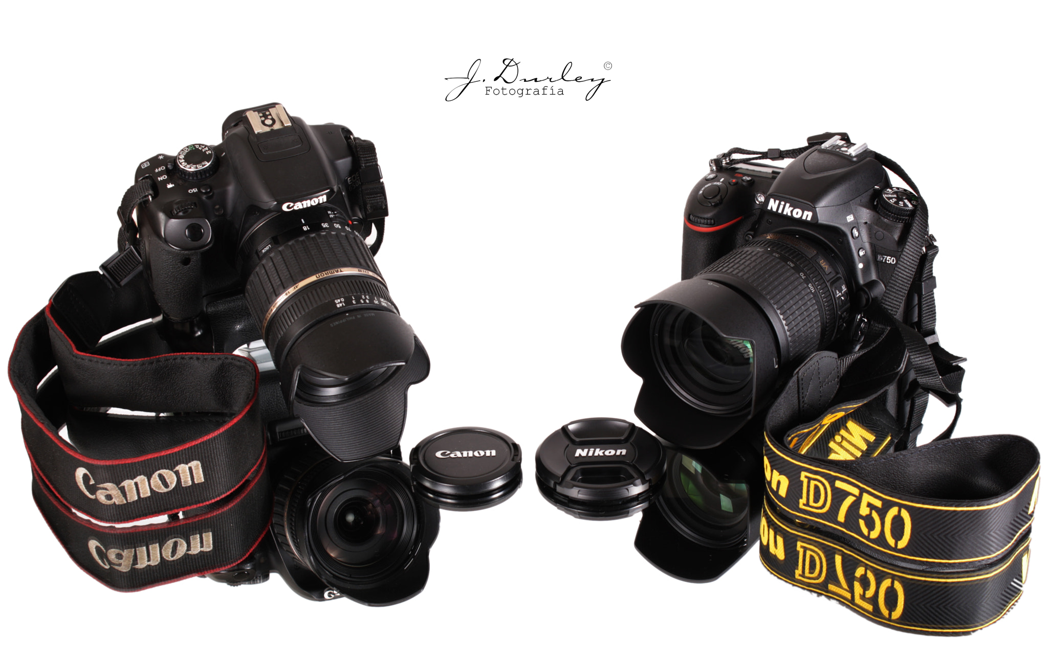 Canon EOS 1000D (EOS Digital Rebel XS / EOS Kiss F) + Canon EF-S 18-55mm F3.5-5.6 III sample photo. #nikon #nueva integrante photography