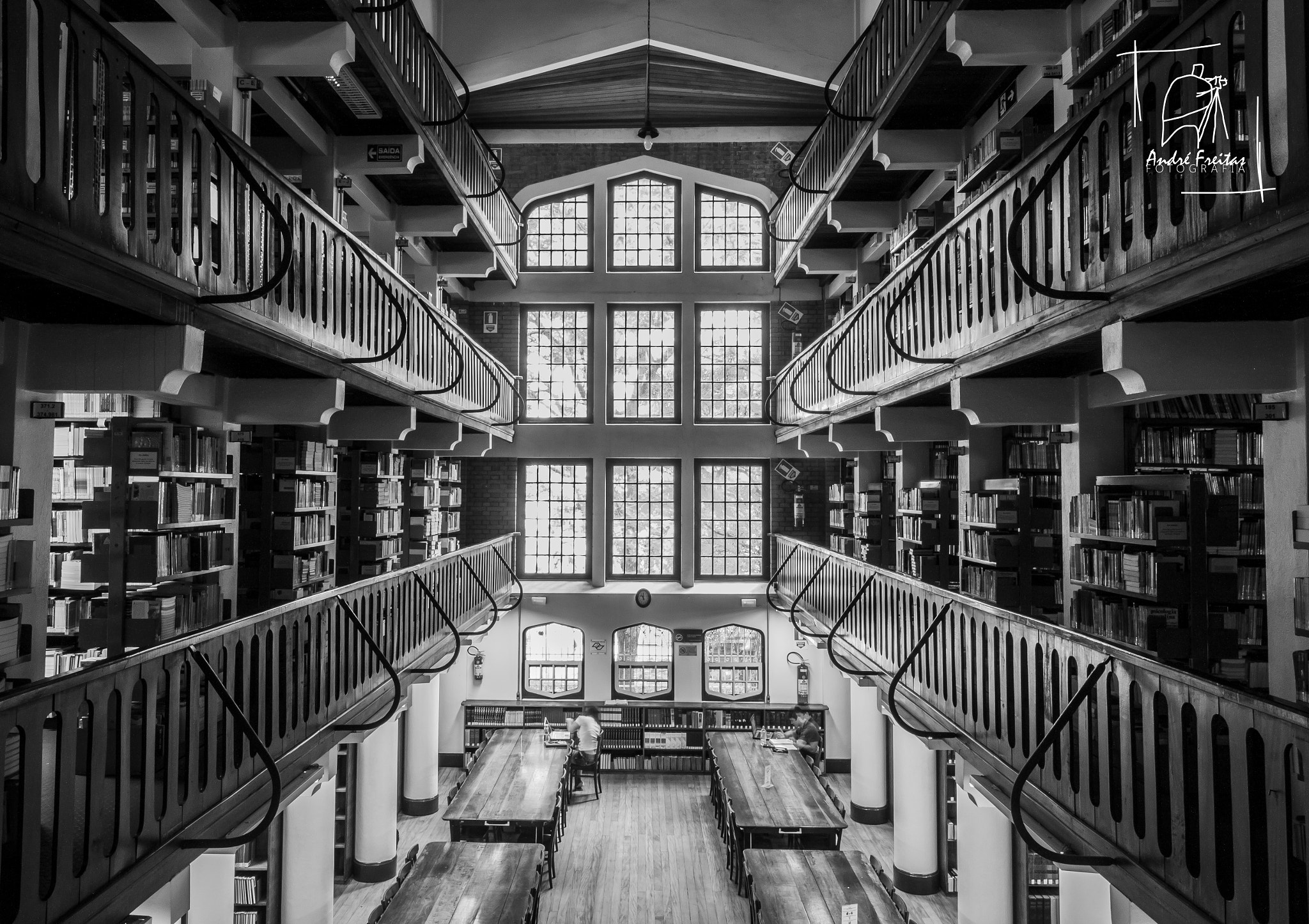 Canon EF-S 10-18mm F4.5–5.6 IS STM sample photo. Mackenzie library photography
