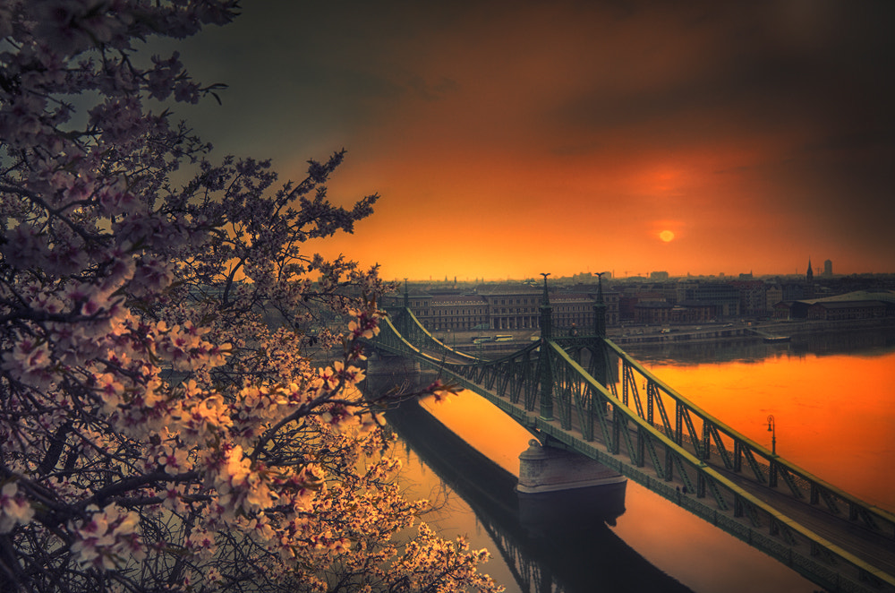 Samyang 14mm F2.8 ED AS IF UMC sample photo. Sunrise (bridge remix) photography