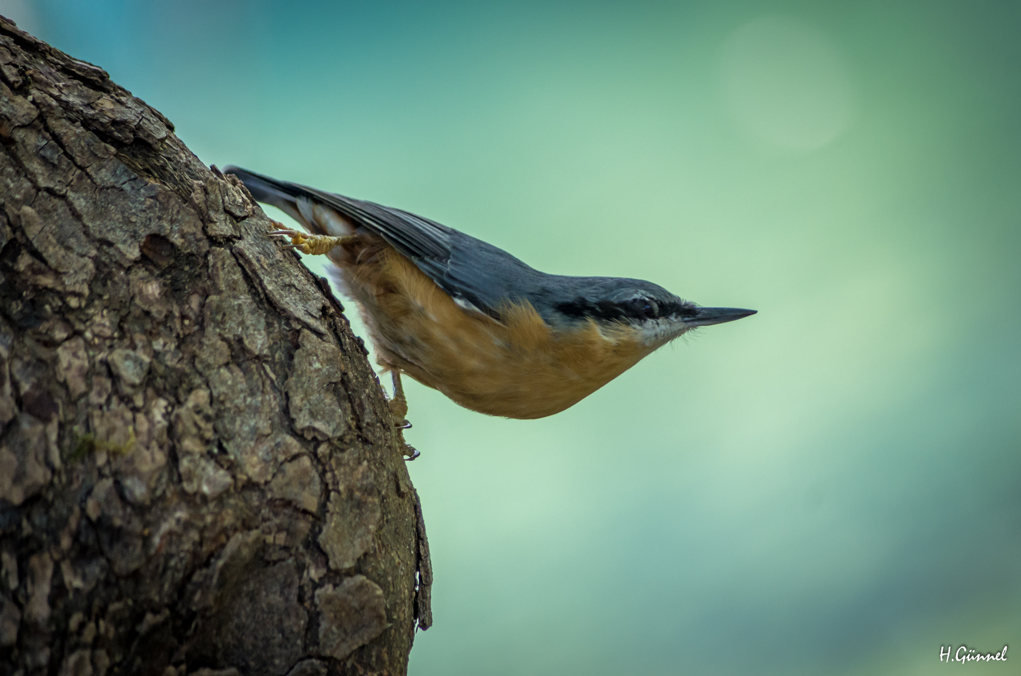 smc PENTAX-DA L 55-300mm F4-5.8 ED sample photo. Ready for takeoff photography