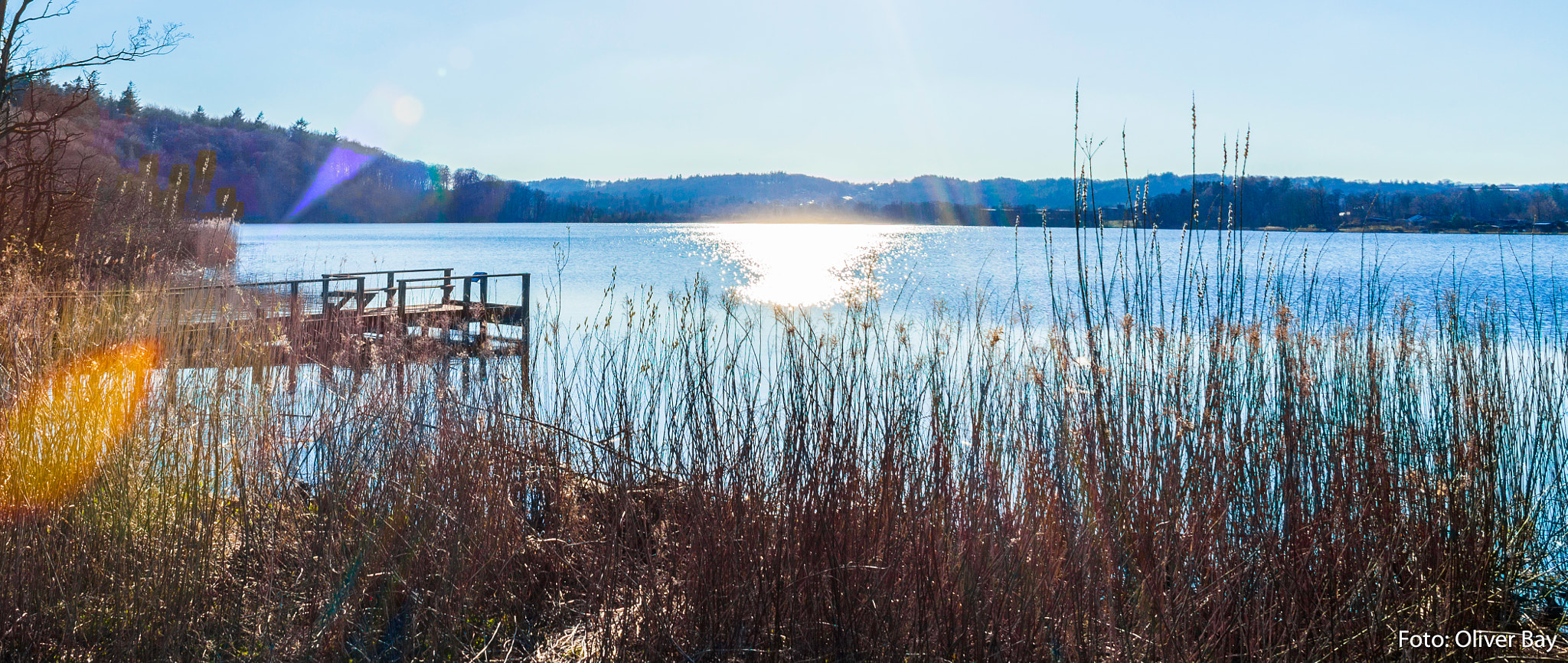 Canon EF 24mm f/1.4L sample photo. Ørnsø, silkeborg 2016 photography
