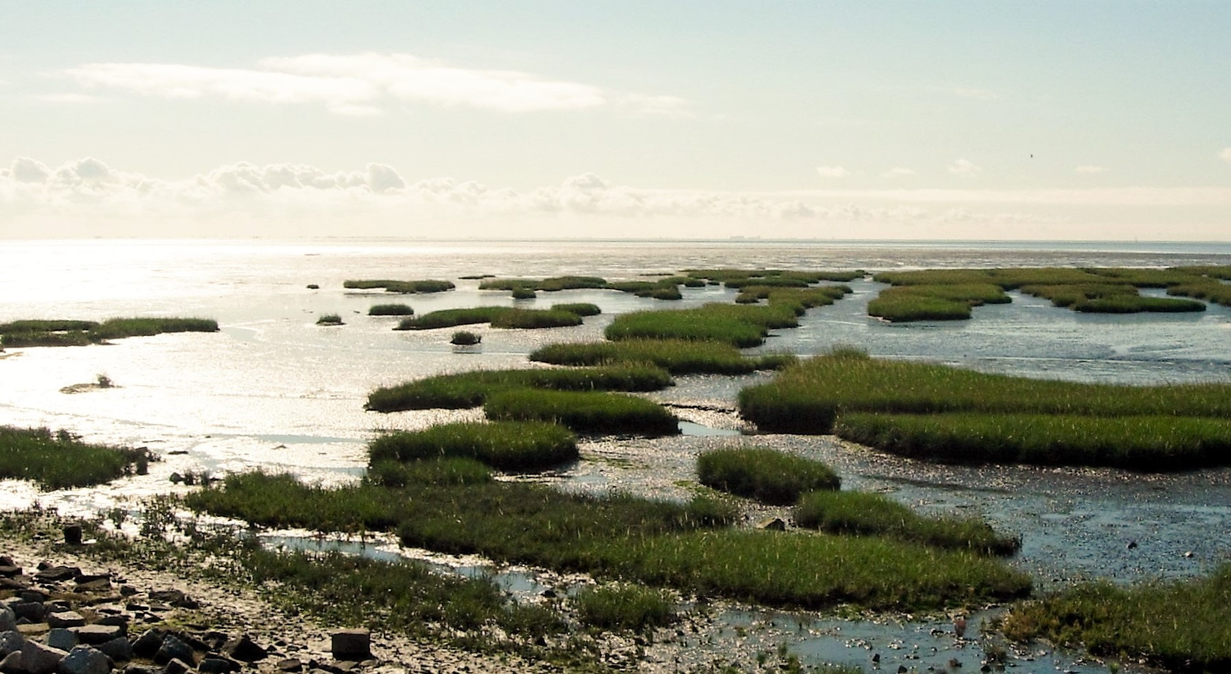 Nikon E4200 sample photo. Terschelling photography