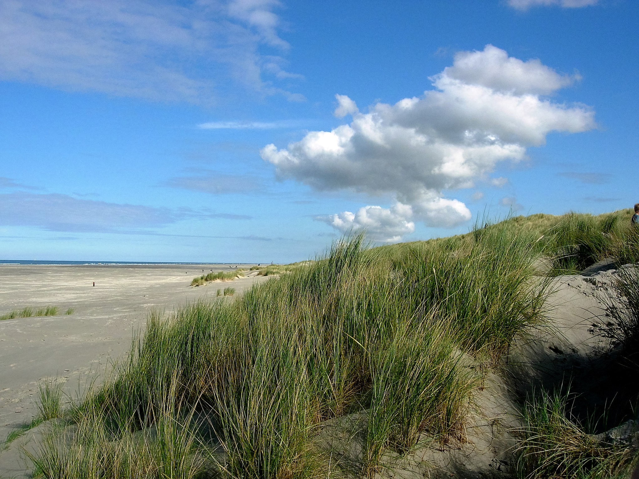 Nikon E4200 sample photo. Terschelling photography