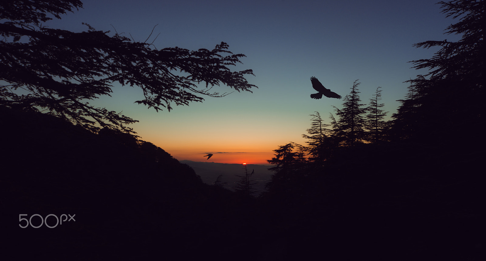 Sigma 12-24mm F4.5-5.6 EX DG Aspherical HSM sample photo. Chréa national park sunset photography