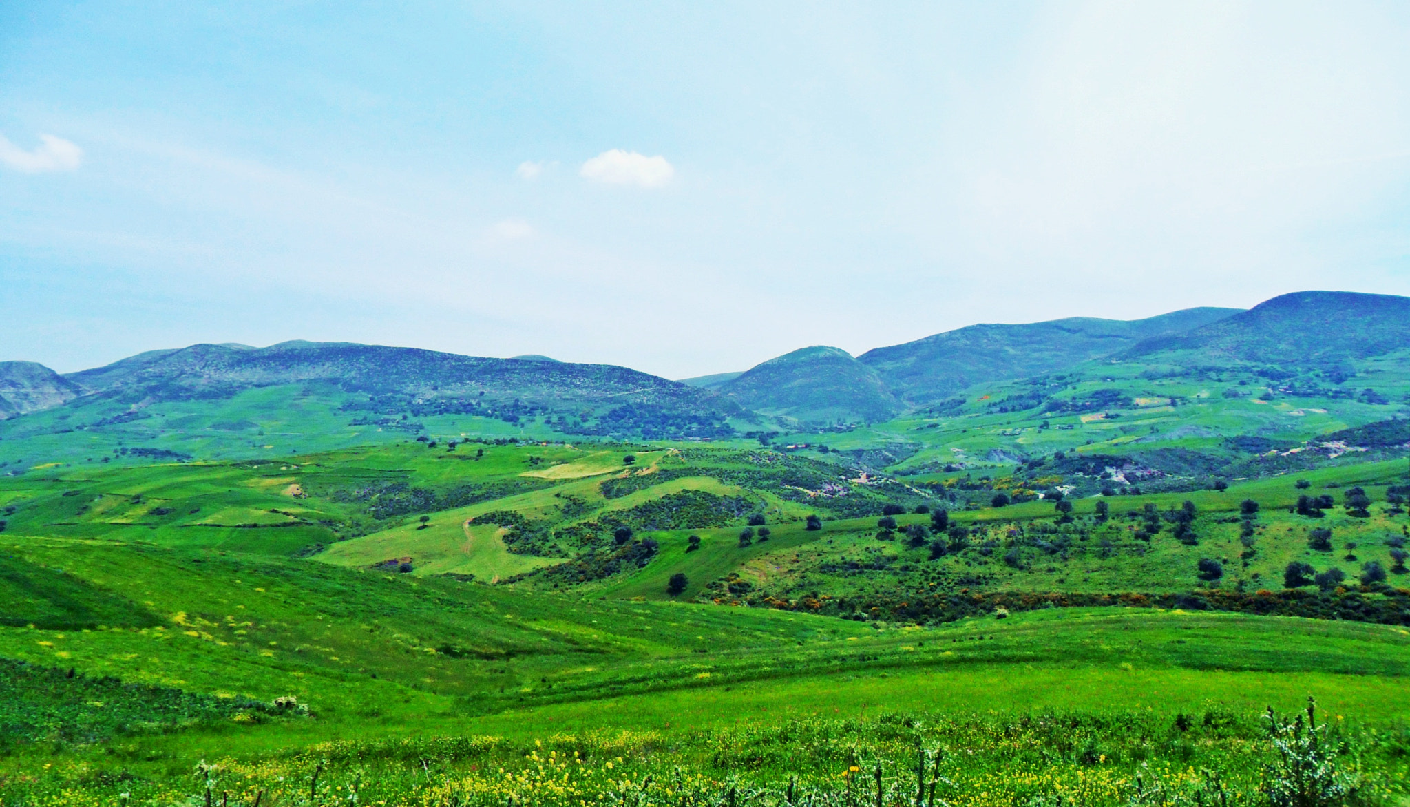 Samsung PL20,PL21 / VLUU PL20,PL21 sample photo. Green meadow photography