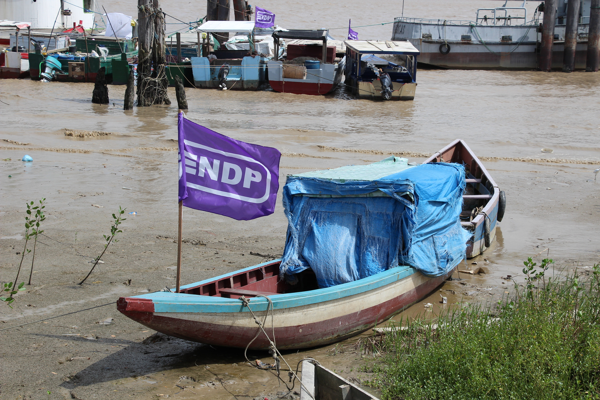 Canon EF-S 18-135mm F3.5-5.6 IS STM sample photo. Purple boat photography