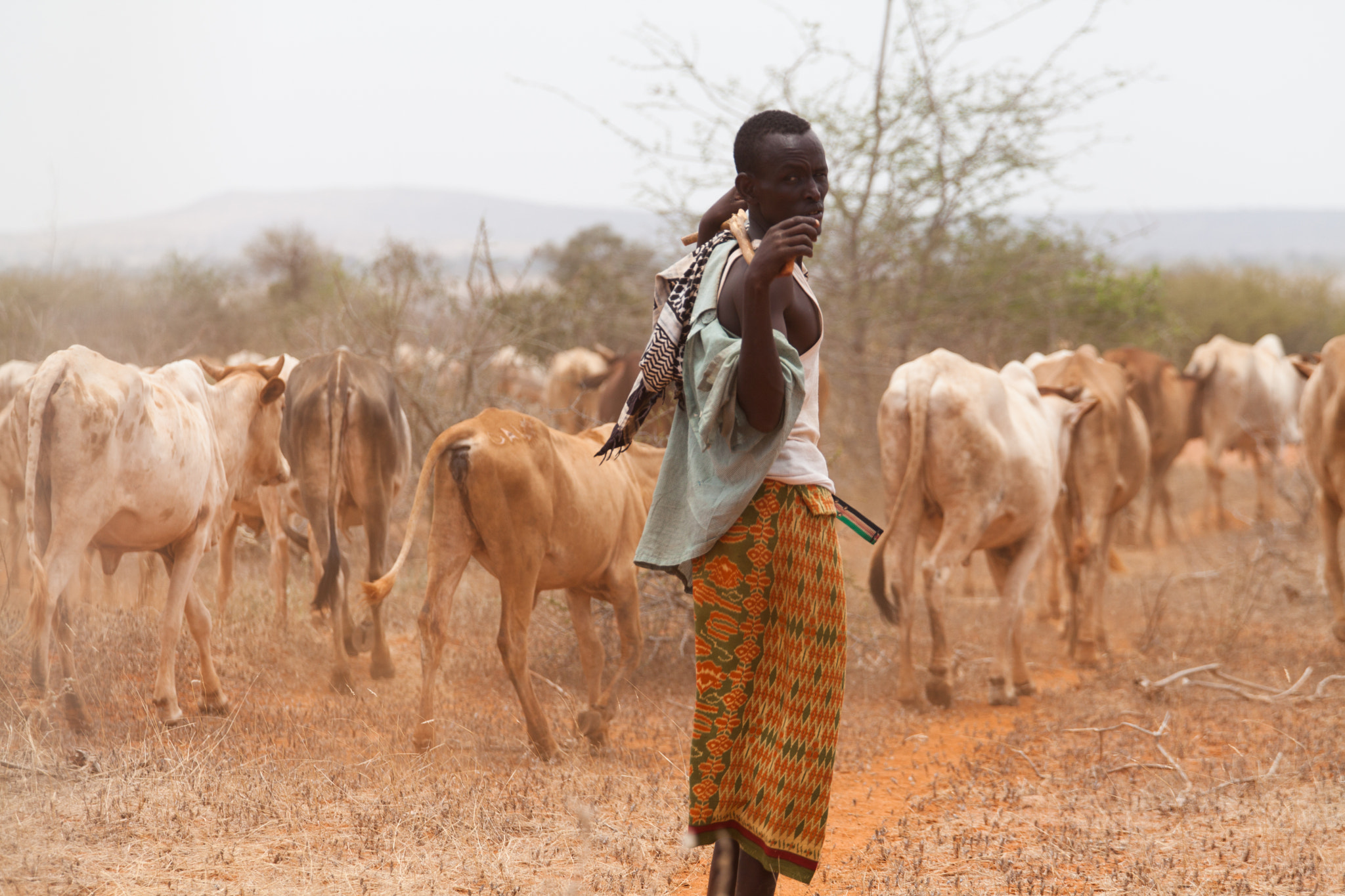 Canon EOS 5D Mark II + Canon EF 70-200mm F4L USM sample photo. Pastore - kenya photography