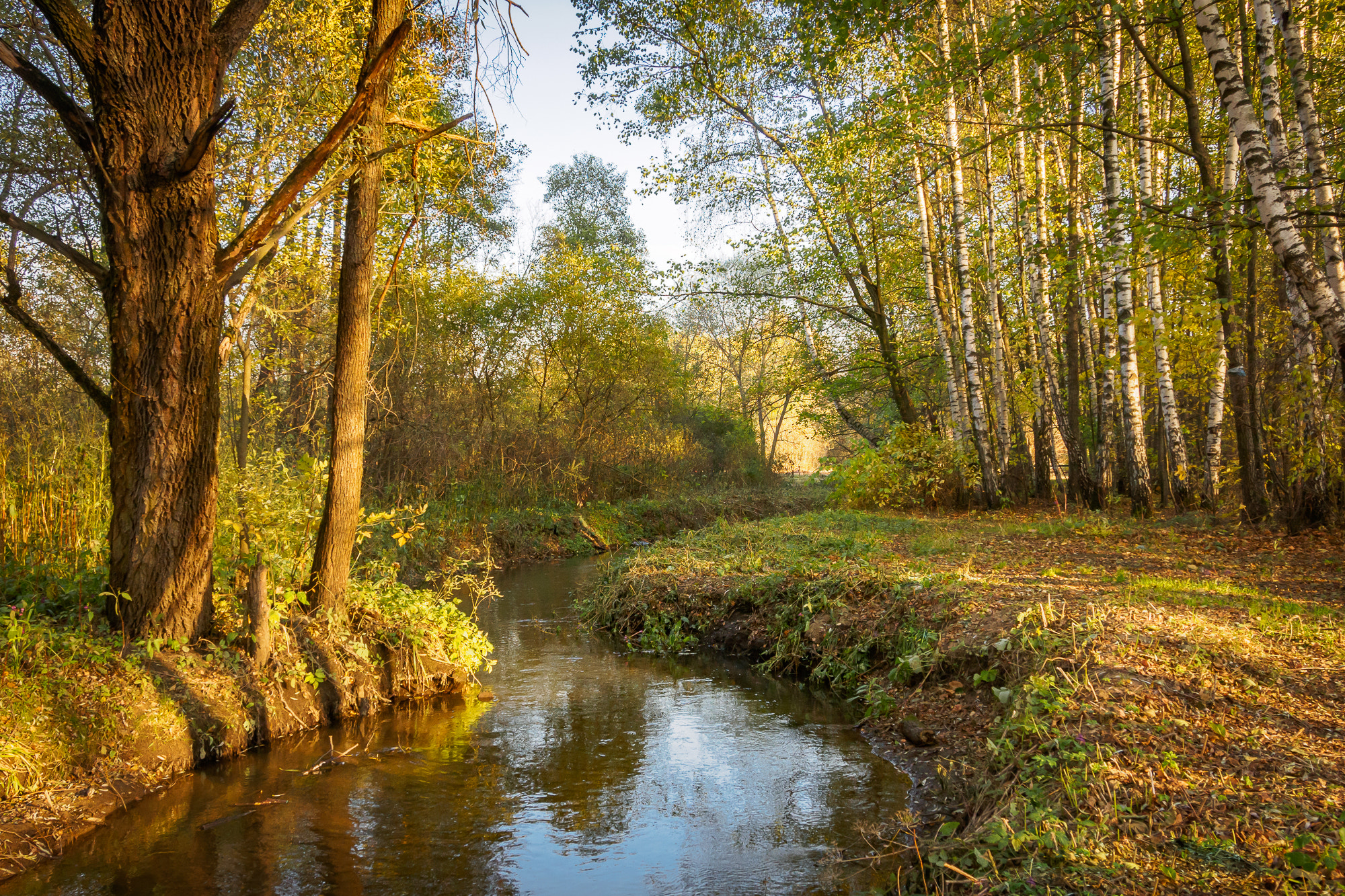 Olympus OM-D E-M10 + OLYMPUS M.12-50mm F3.5-6.3 sample photo. Autumn on the river photography