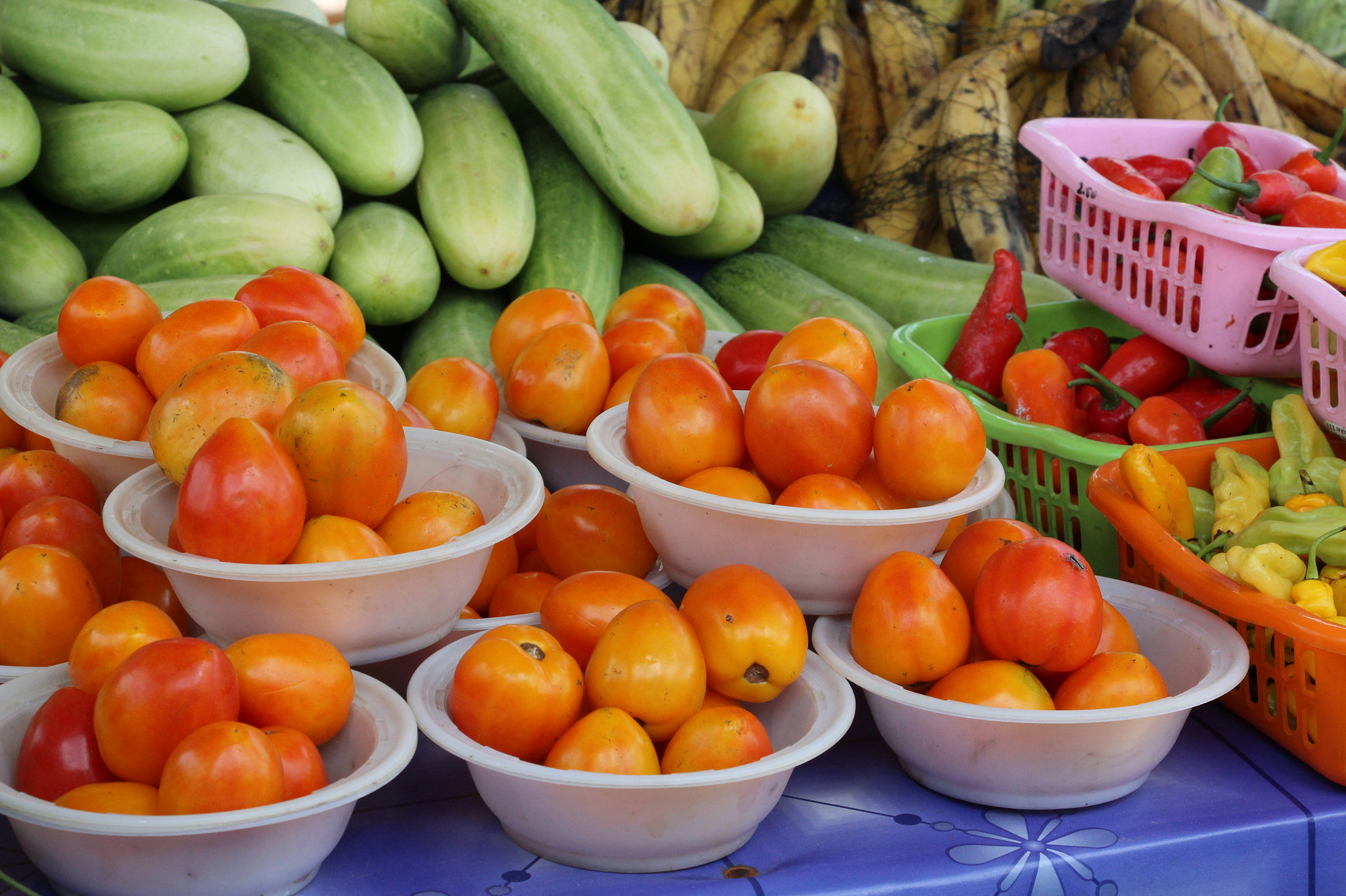 Canon EF-S 18-135mm F3.5-5.6 IS STM sample photo. Fruit market photography