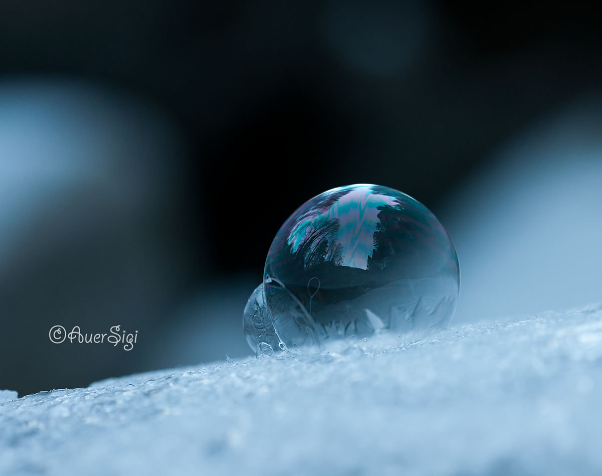 Sigma 105mm F2.8 EX DG OS HSM sample photo. Bubble photography