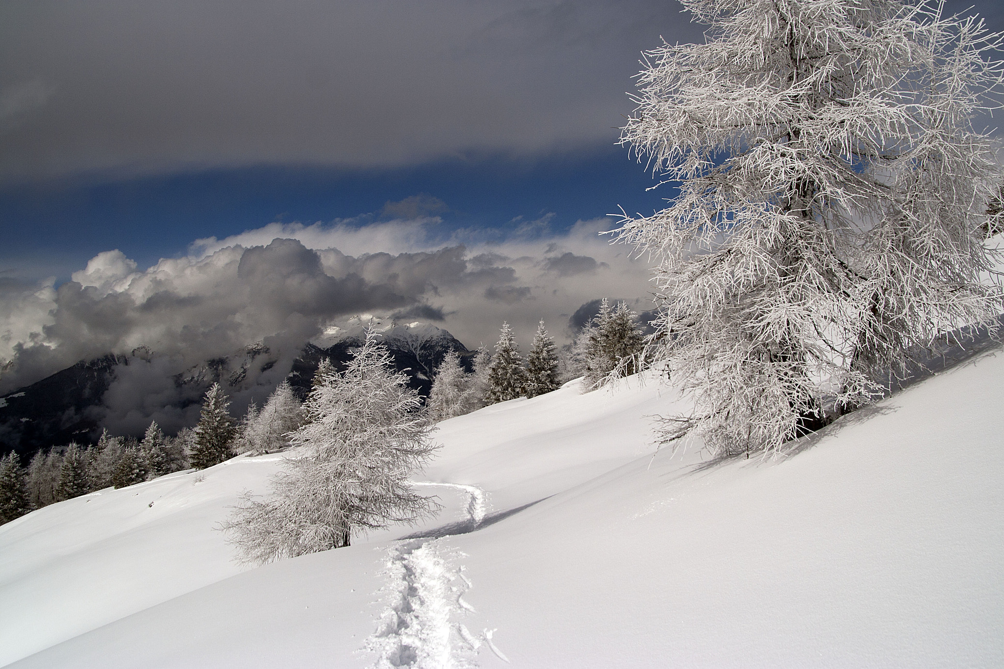 Sigma 17-70mm F2.8-4 DC Macro OS HSM sample photo. Simply snow photography