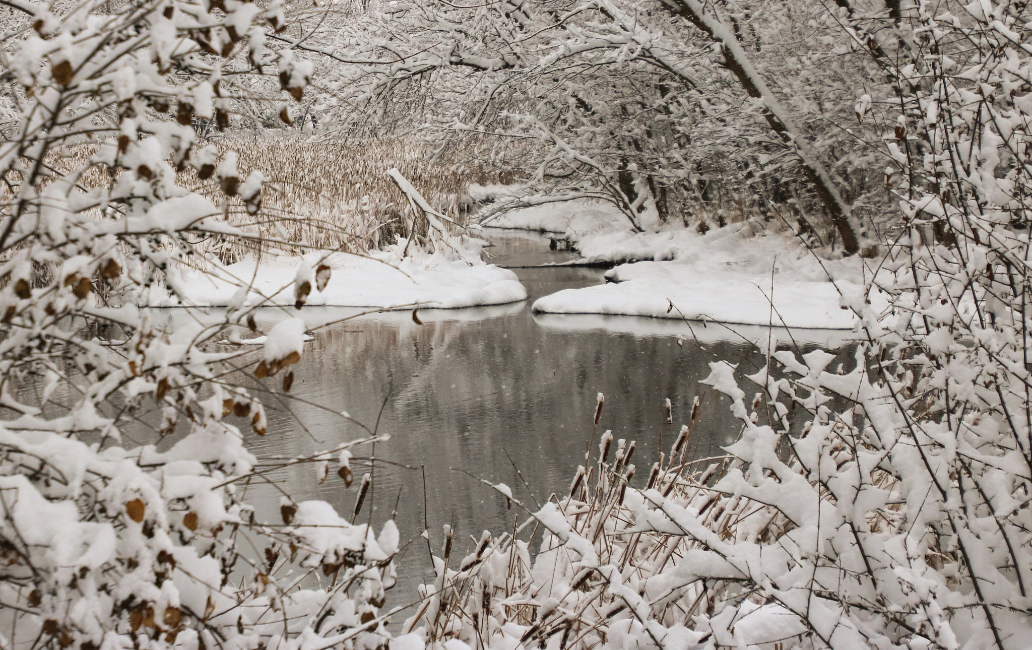 Canon EOS 760D (EOS Rebel T6s / EOS 8000D) sample photo. Creek and pond in snow photography