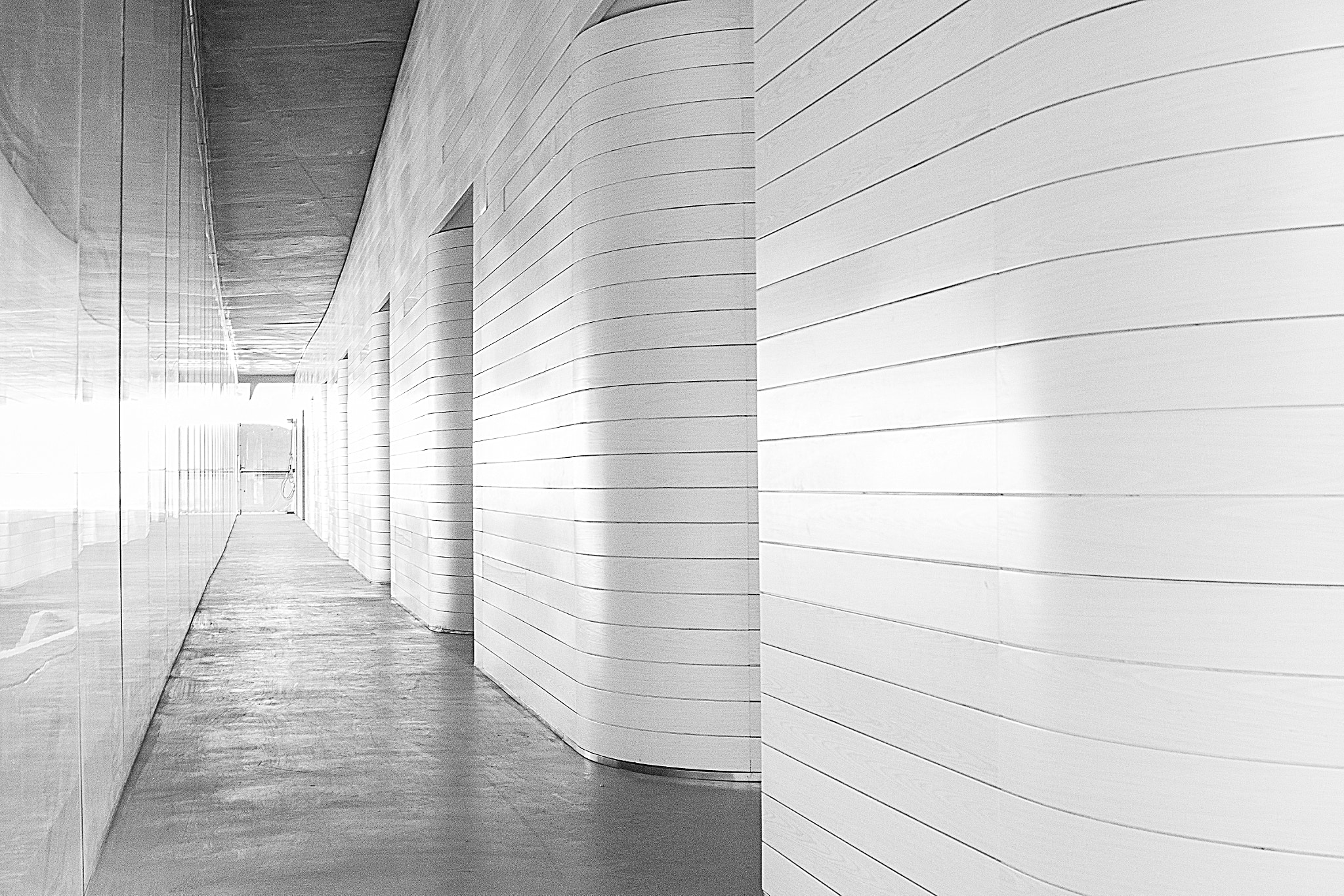 Canon EF 24-105mm F3.5-5.6 IS STM sample photo. Minimalism photography