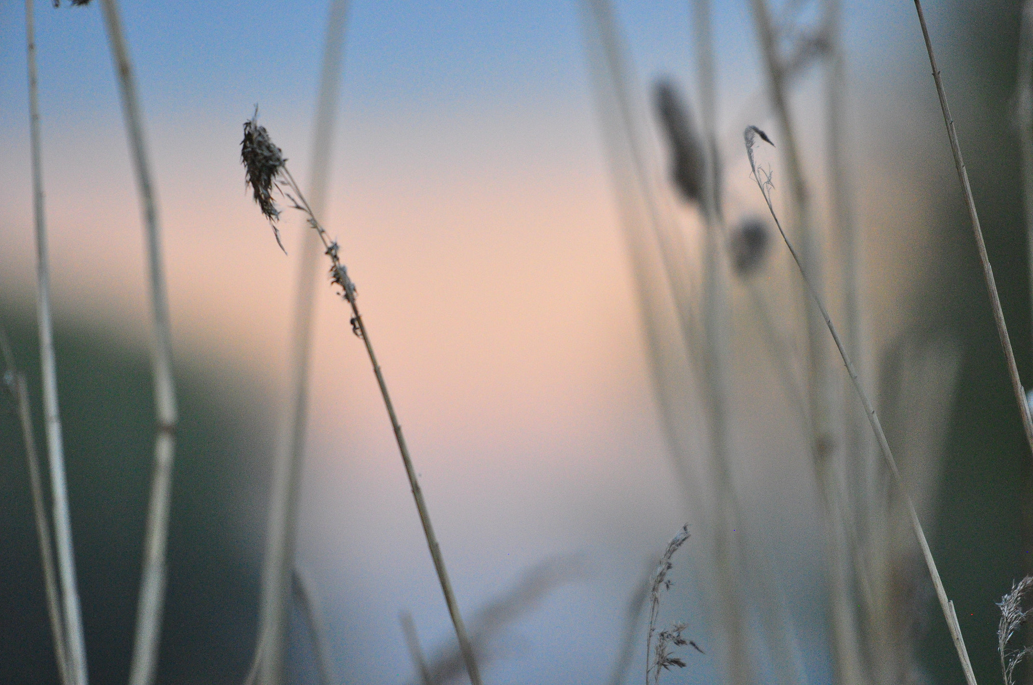 Sigma 120-400mm F4.5-5.6 DG OS HSM sample photo. Nature photography