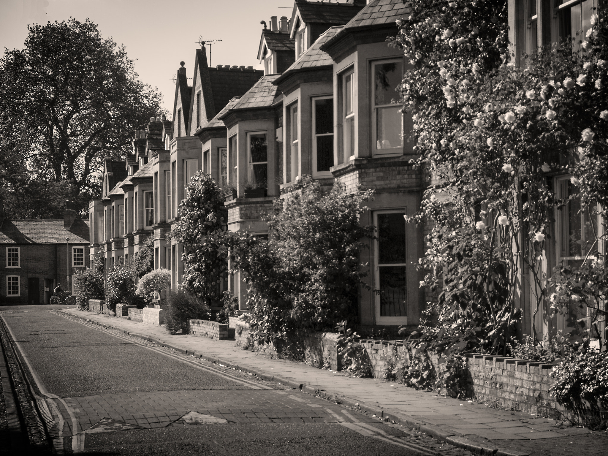 OLYMPUS 14-54mm Lens sample photo. Cambridge street photography