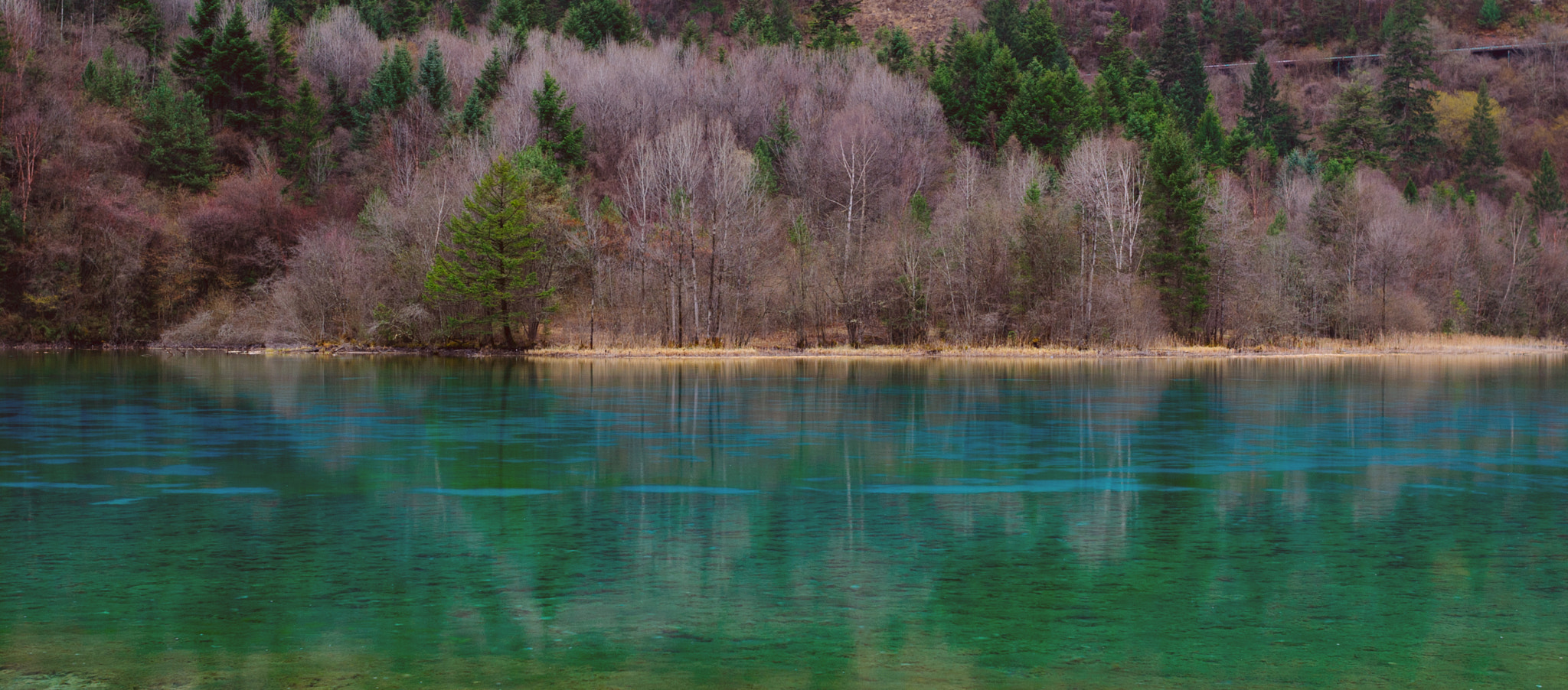 Nikon D3X + Nikon AF-S Nikkor 24mm F1.4G ED sample photo. Jiuzhaigou national park photography