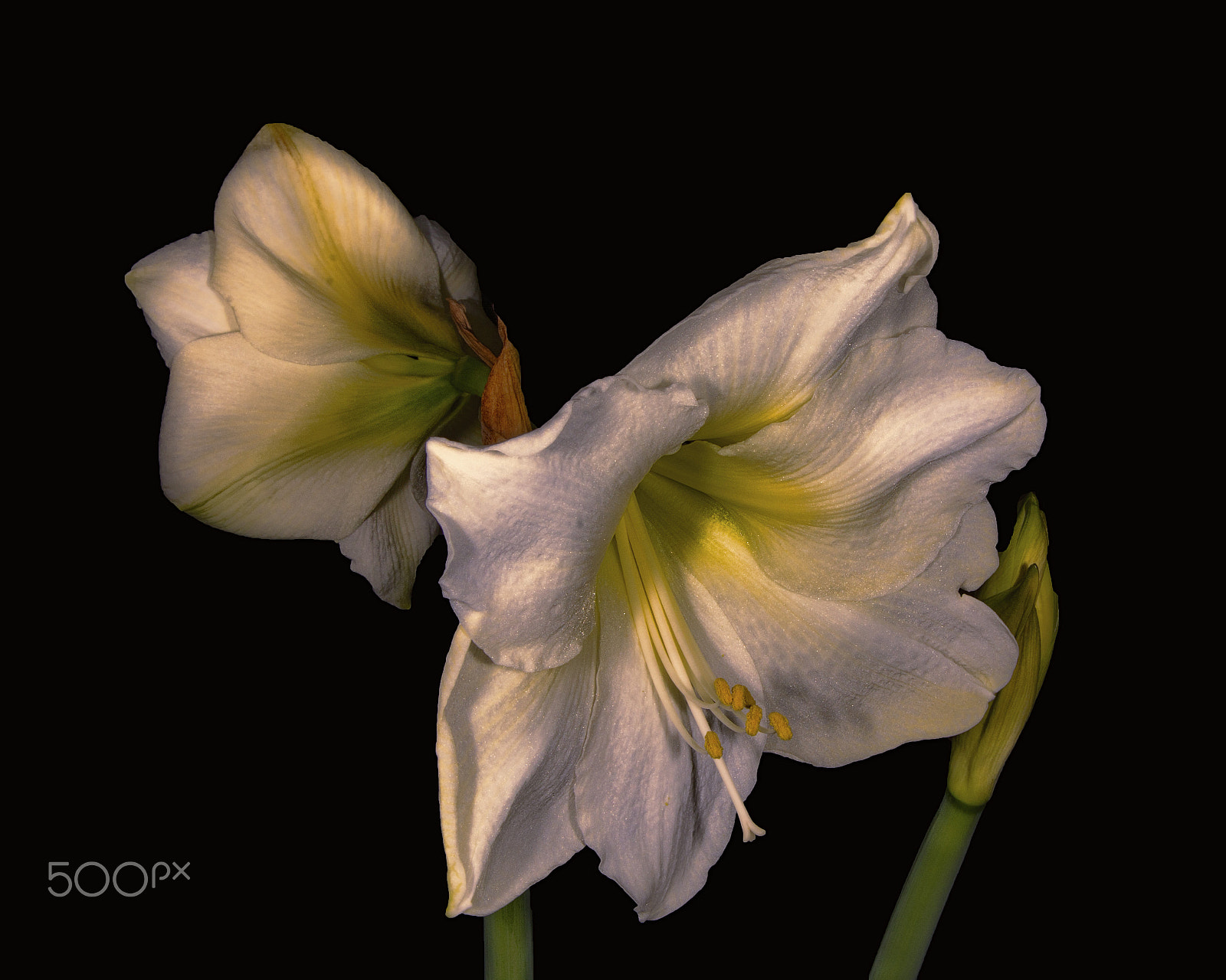 Nikon AF-S Nikkor 28-70mm F2.8 ED-IF sample photo. Second look photography
