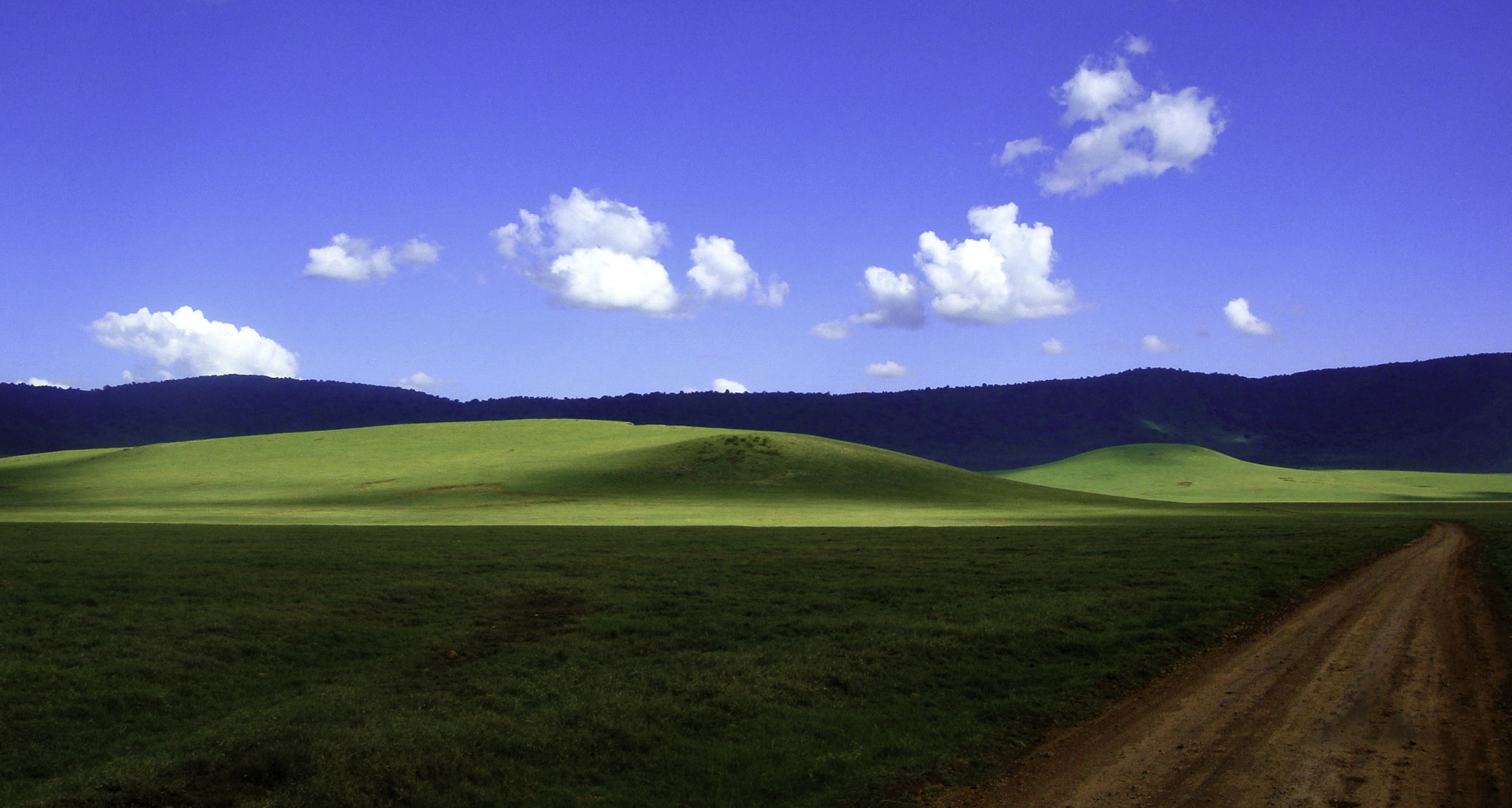 Sony DSC-T77 sample photo. Ngorongoro photography